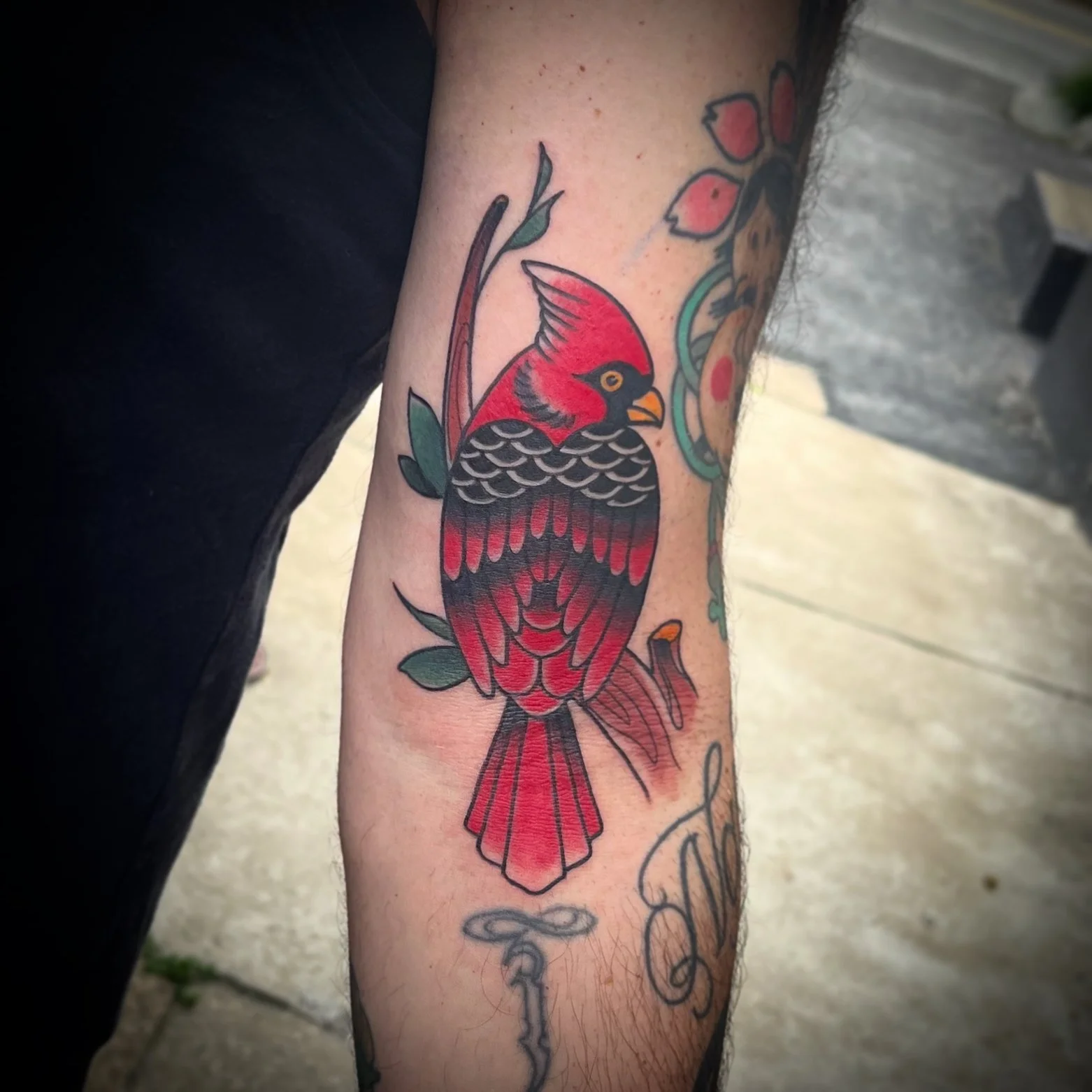 Traditional tattoo of a red cardinal bird with black and yellow accents, perched on a branch with green leaves by Jesse Smith of Human Production Gallery in Bethel Park, PA.
