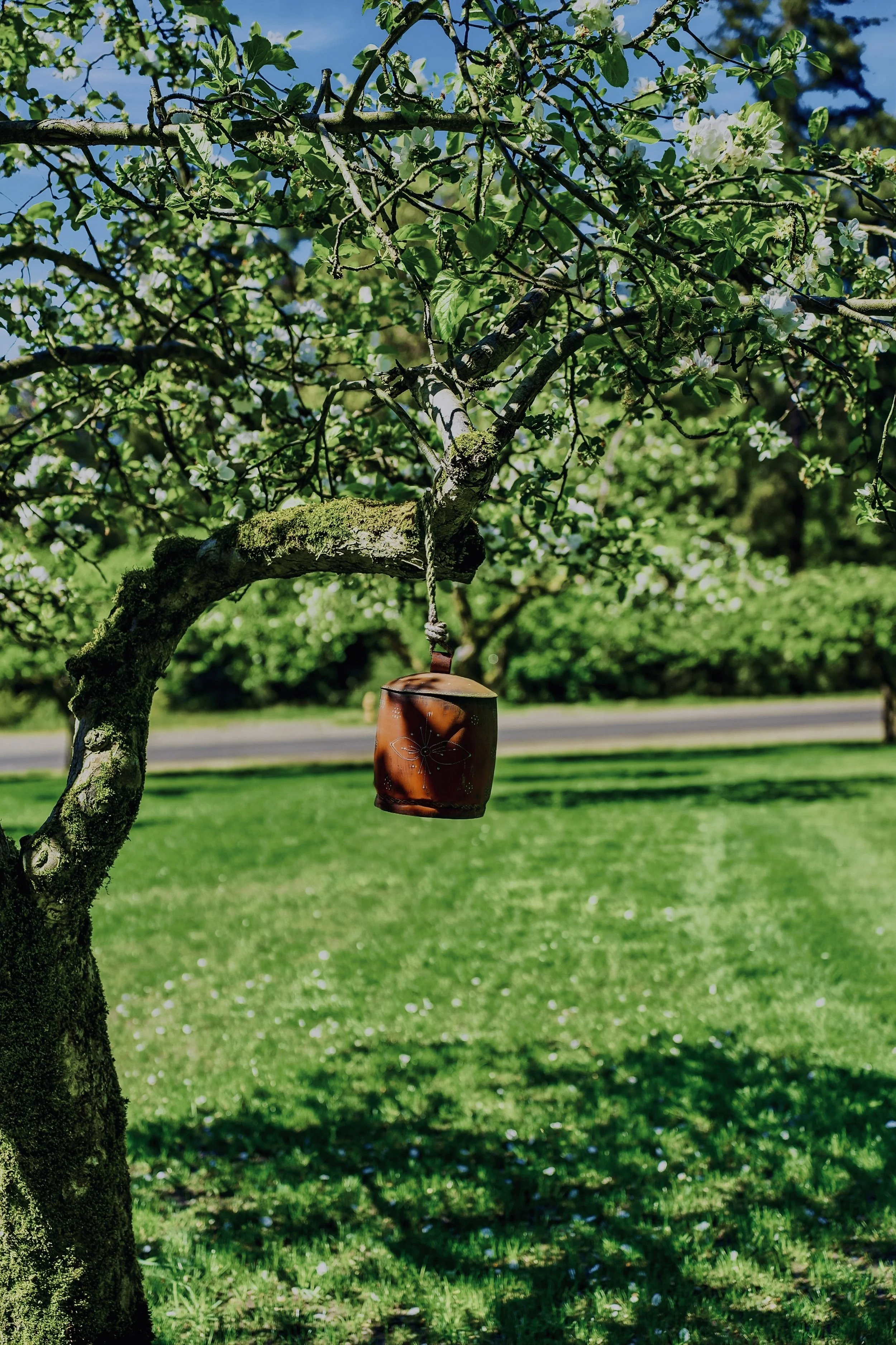 A tree with white blossoms and a moss-covered trunk, hanging a small brown lantern. The background shows a grassy area and a clear blue sky.