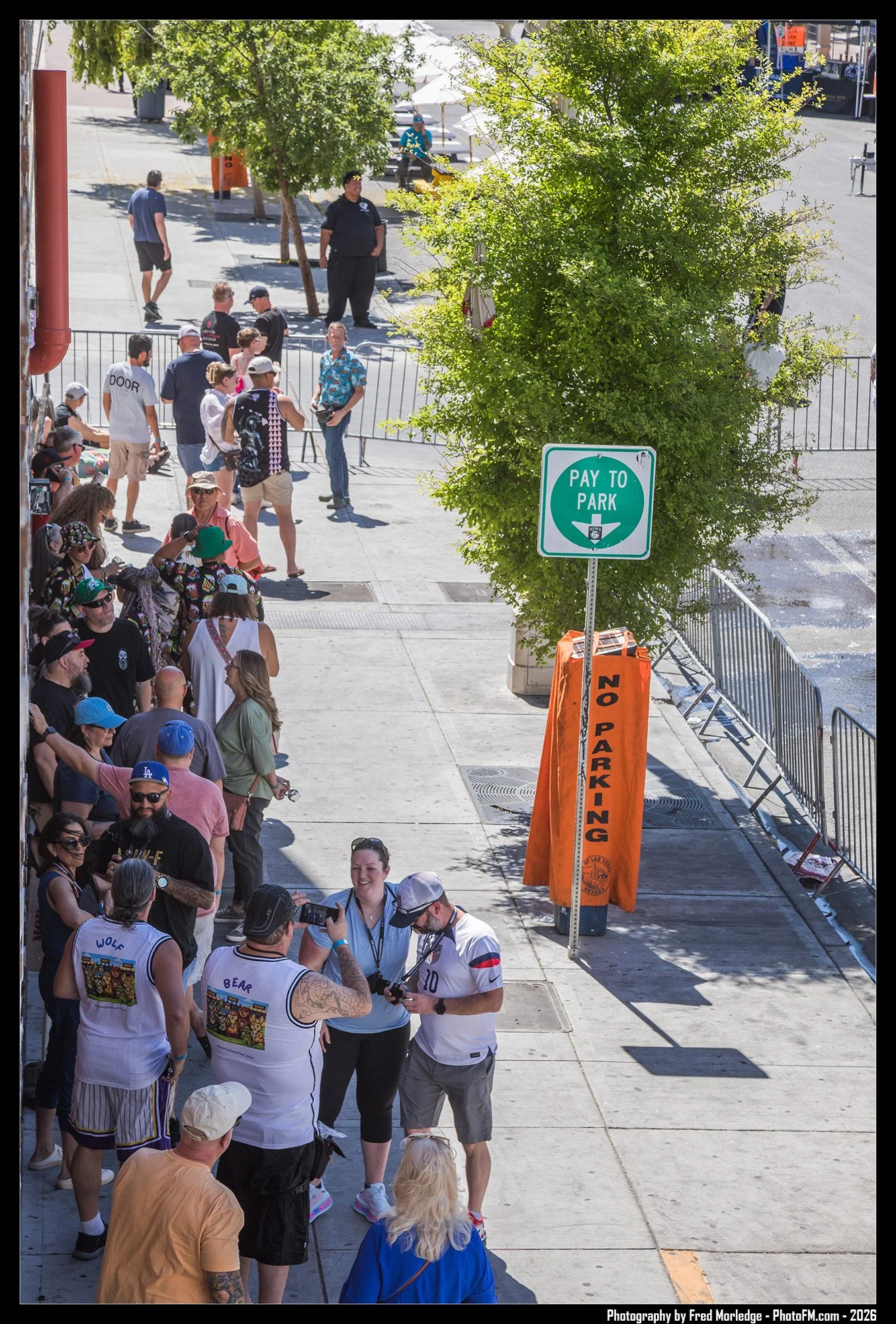A long line of people waiting outside, with some wearing sports jerseys, on a city sidewalk near a 'Pay to Park' sign, trees, and metal barricades, during daytime.