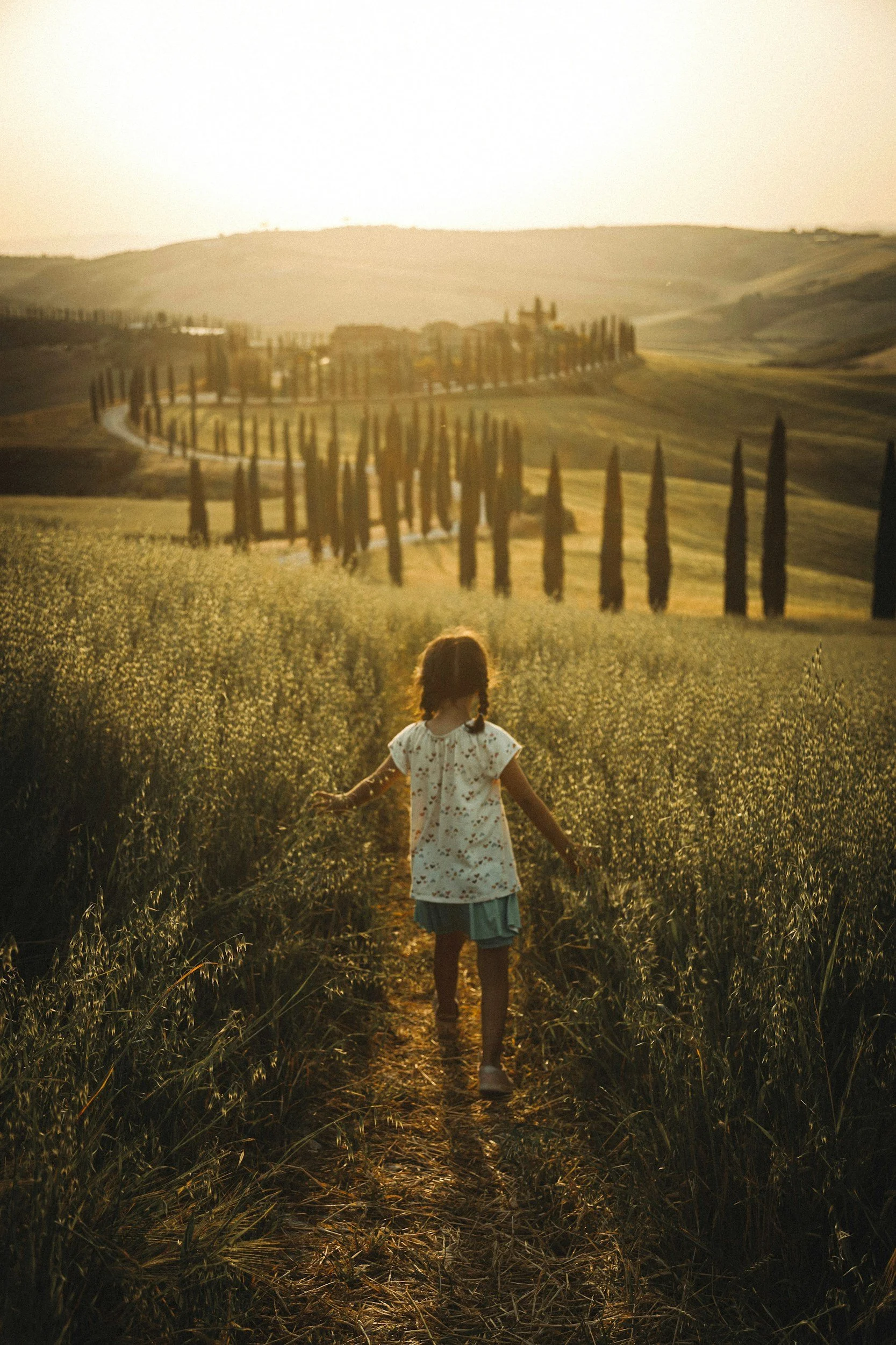 A young girl walking through a field of tall grass or crops during sunset with rolling hills and a line of tall cypress trees in the background.