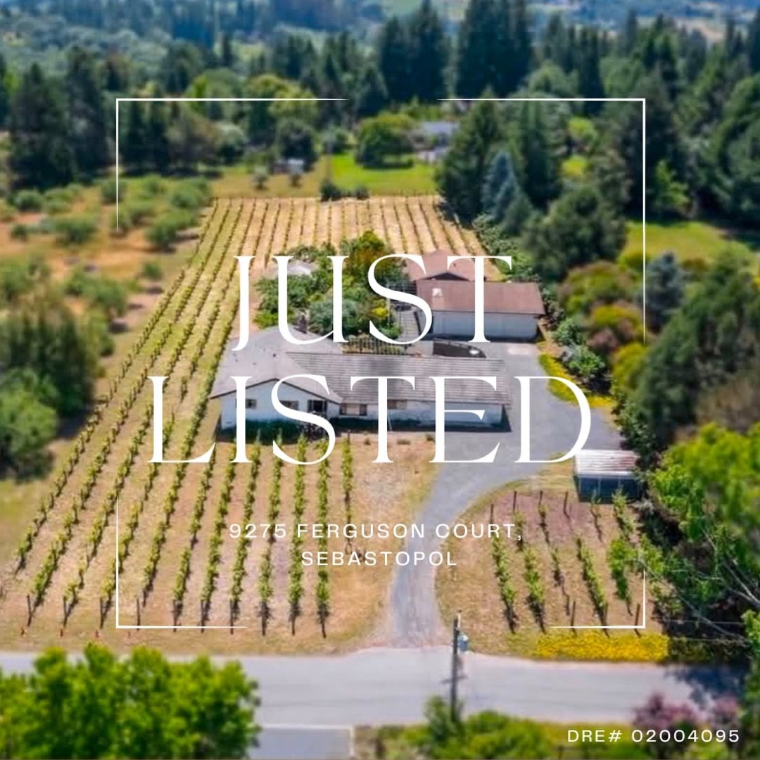 Just Listed in Sebastopol
📍 9275 Ferguson Court, Sebastopol 

Wine country living meets everyday functionality in this beautifully designed single-level home set on 1.46 acres in the heart of West County. Surrounded by mature landscaping and your ow