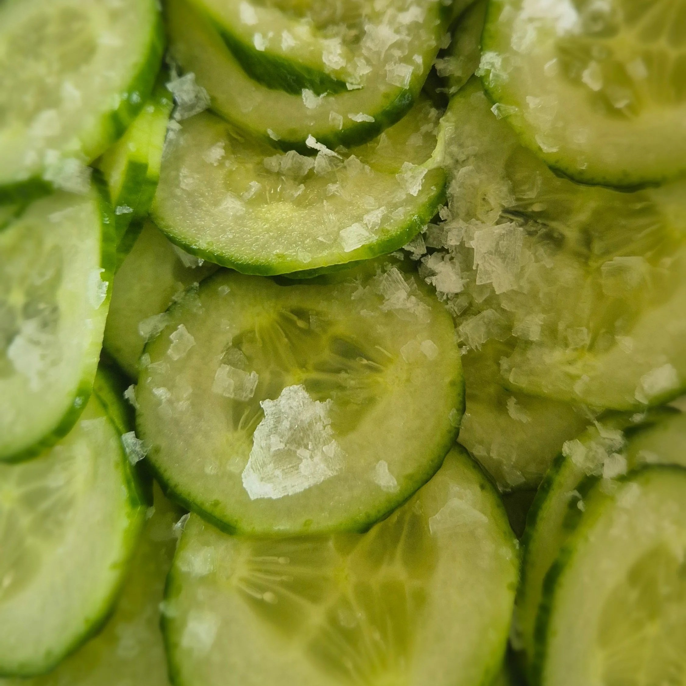 Disco Pickles? Dill Me In