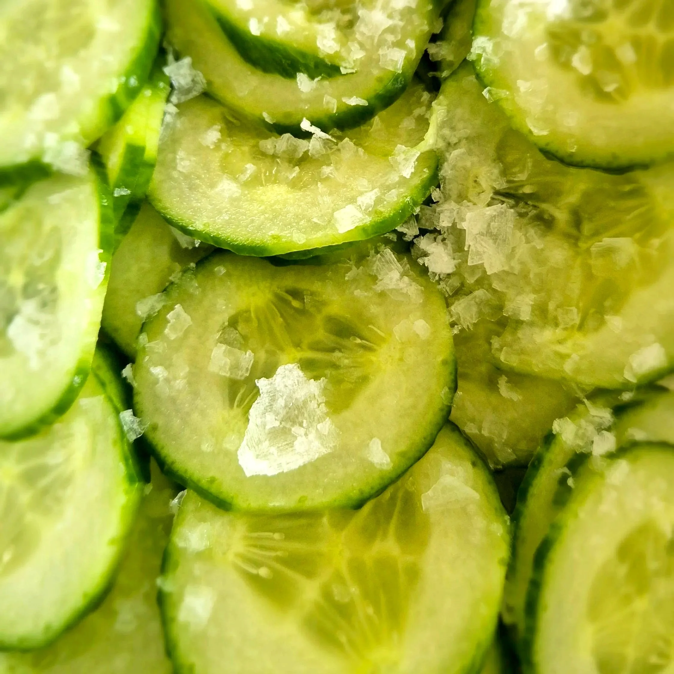 Disco Pickles? Dill Me In