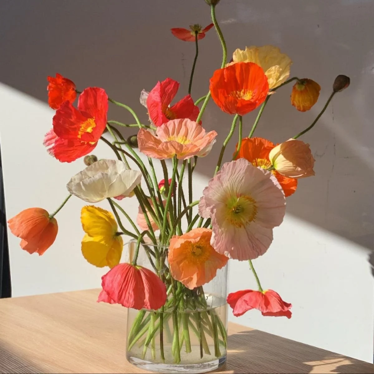Colorful poppy flowers in a glass vase on a wooden surface, with light and shadow creating a soft background.