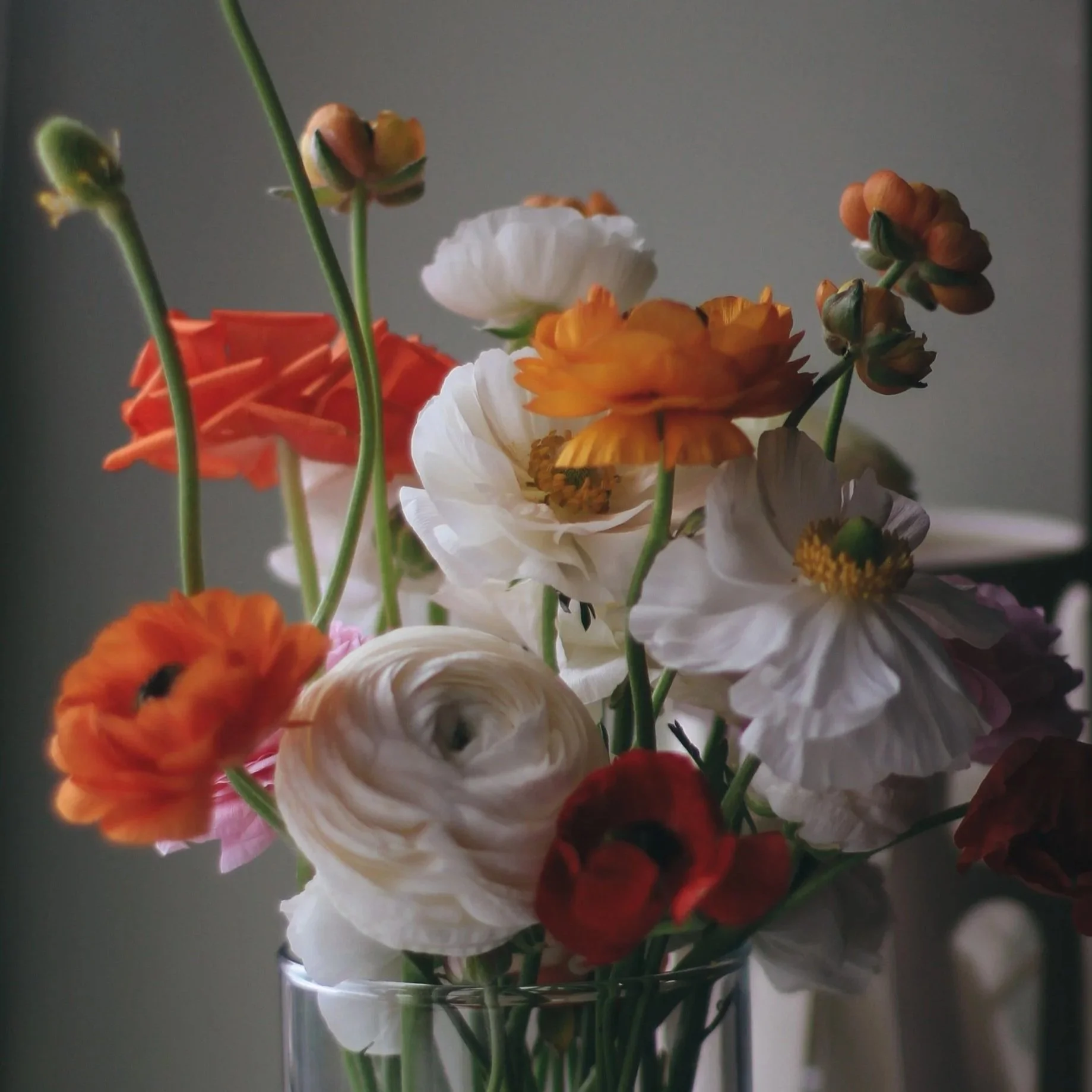 A bouquet of colorful flowers, including white, orange, pink, and red blossoms, in a clear glass vase against a gray background.