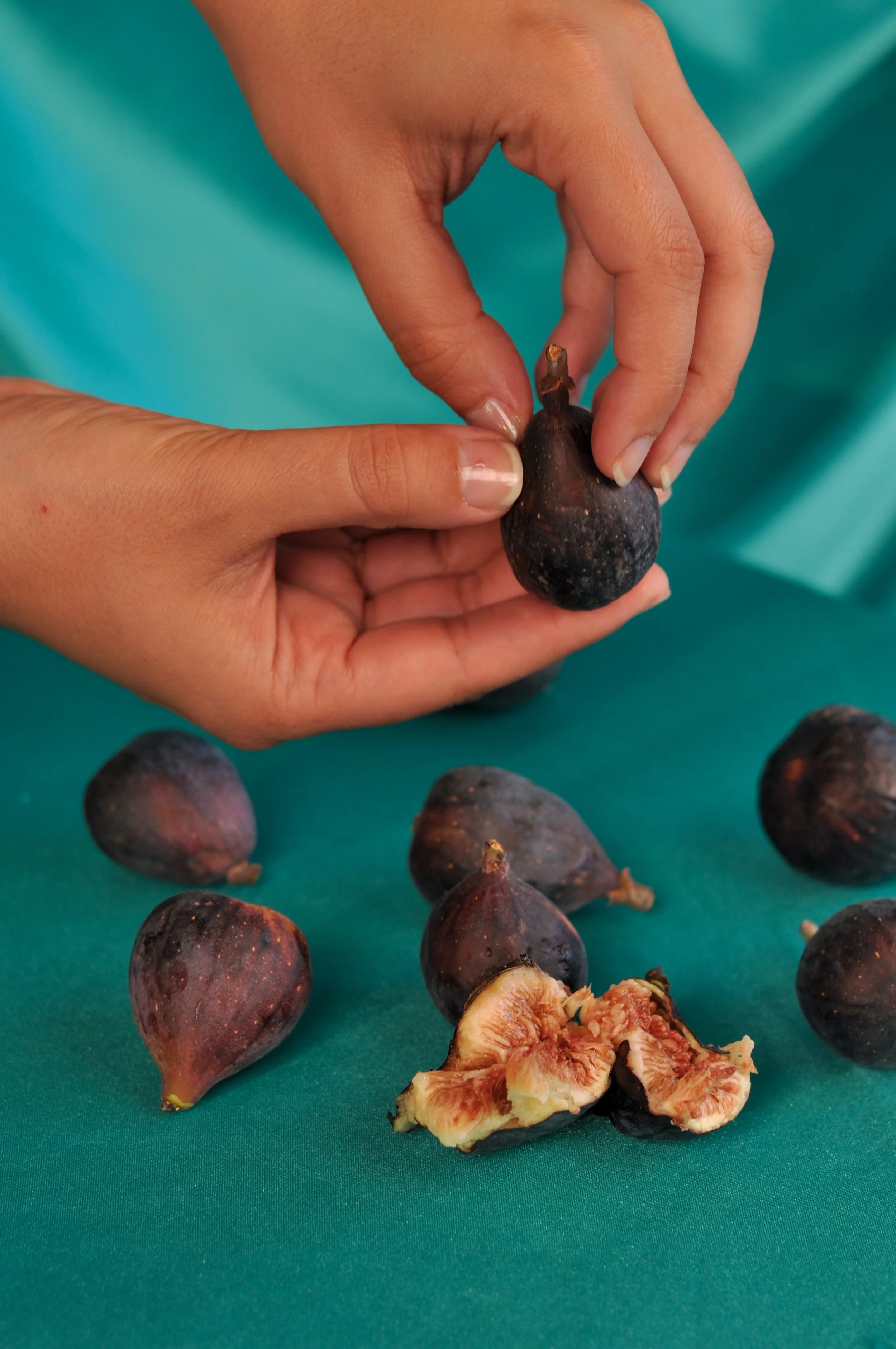 Figs_1.jpg