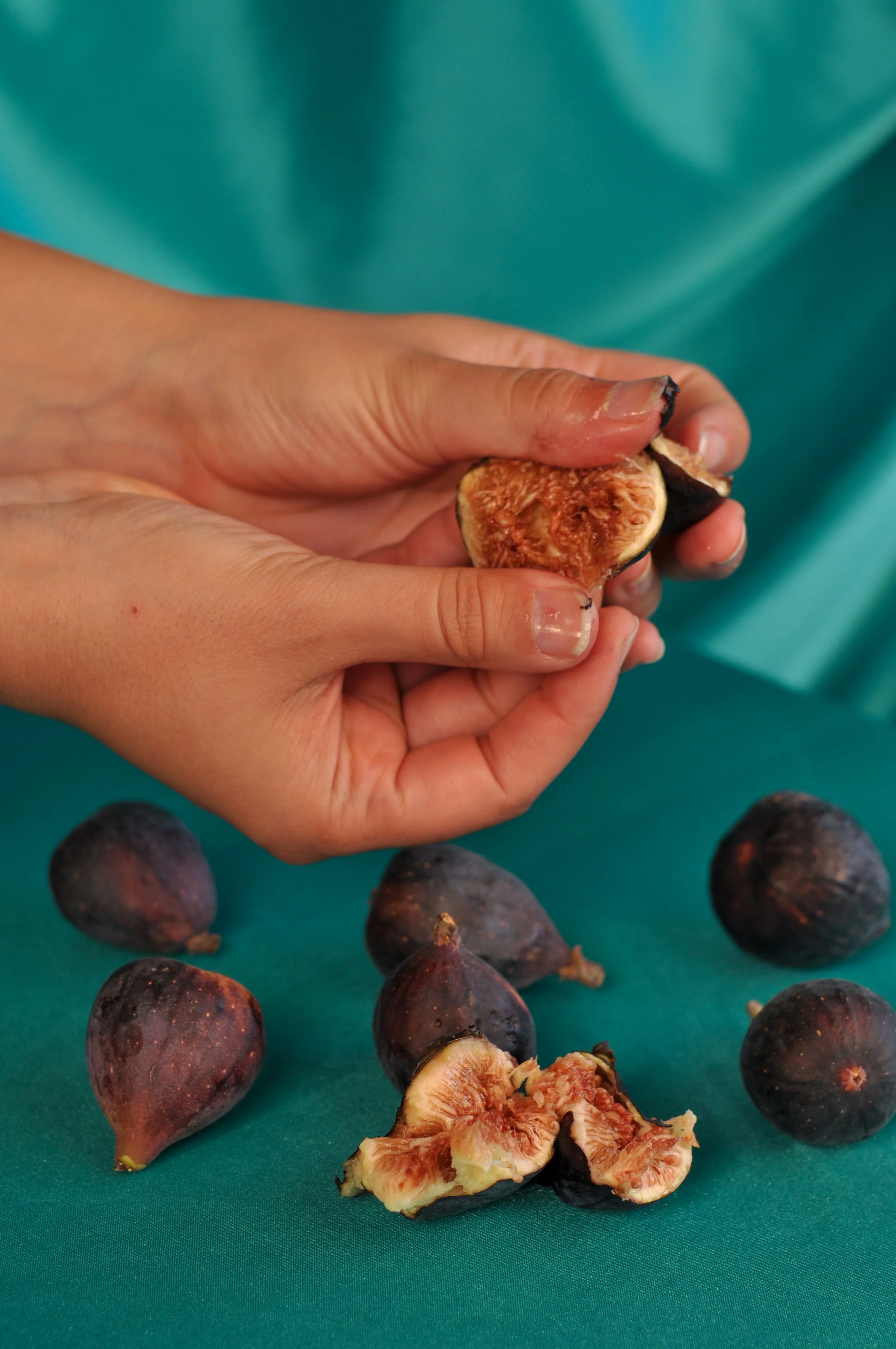 Figs_3.jpg