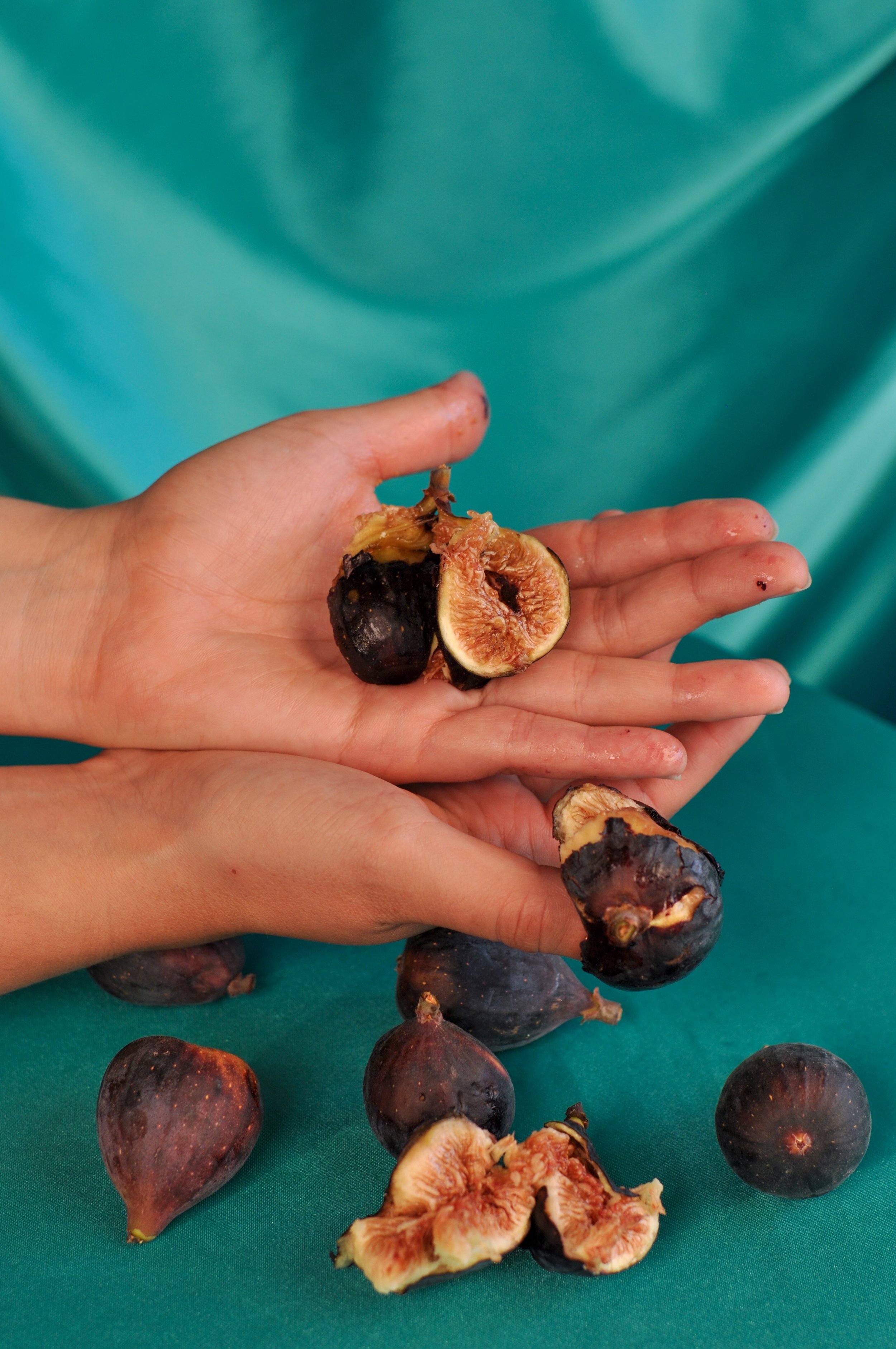 Figs_4.jpg