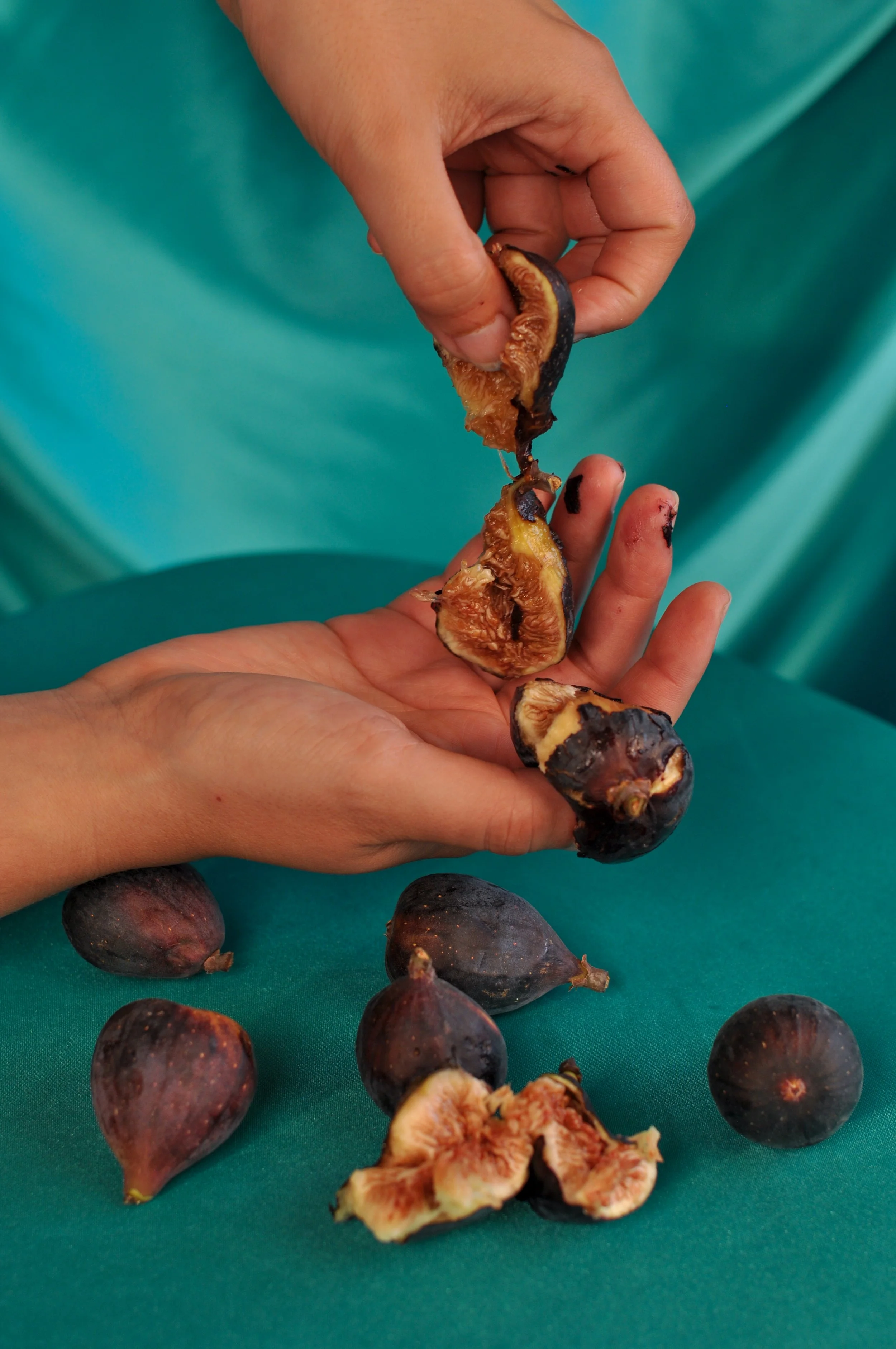 Figs_5.jpg