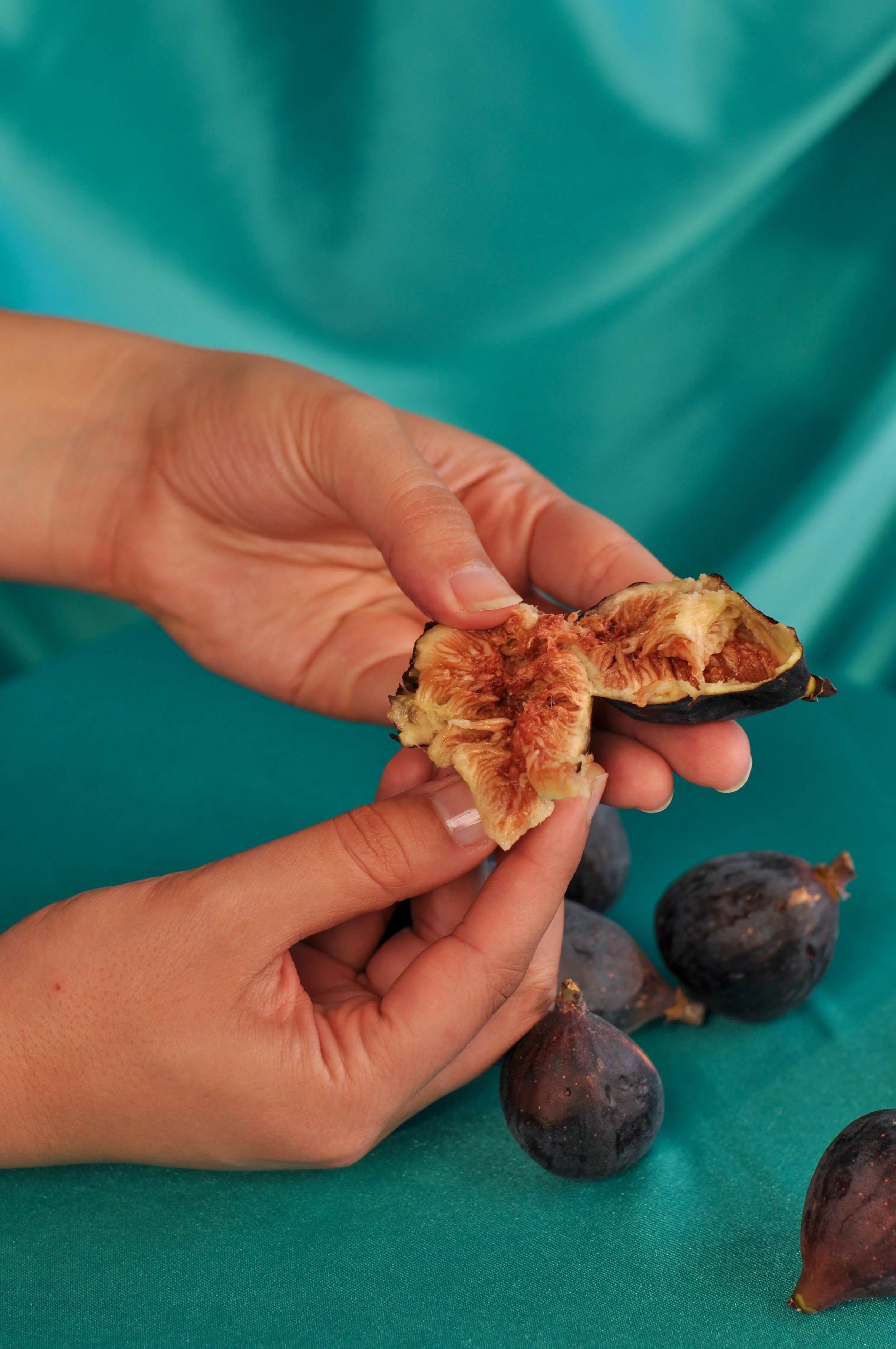 Figs_2.jpg