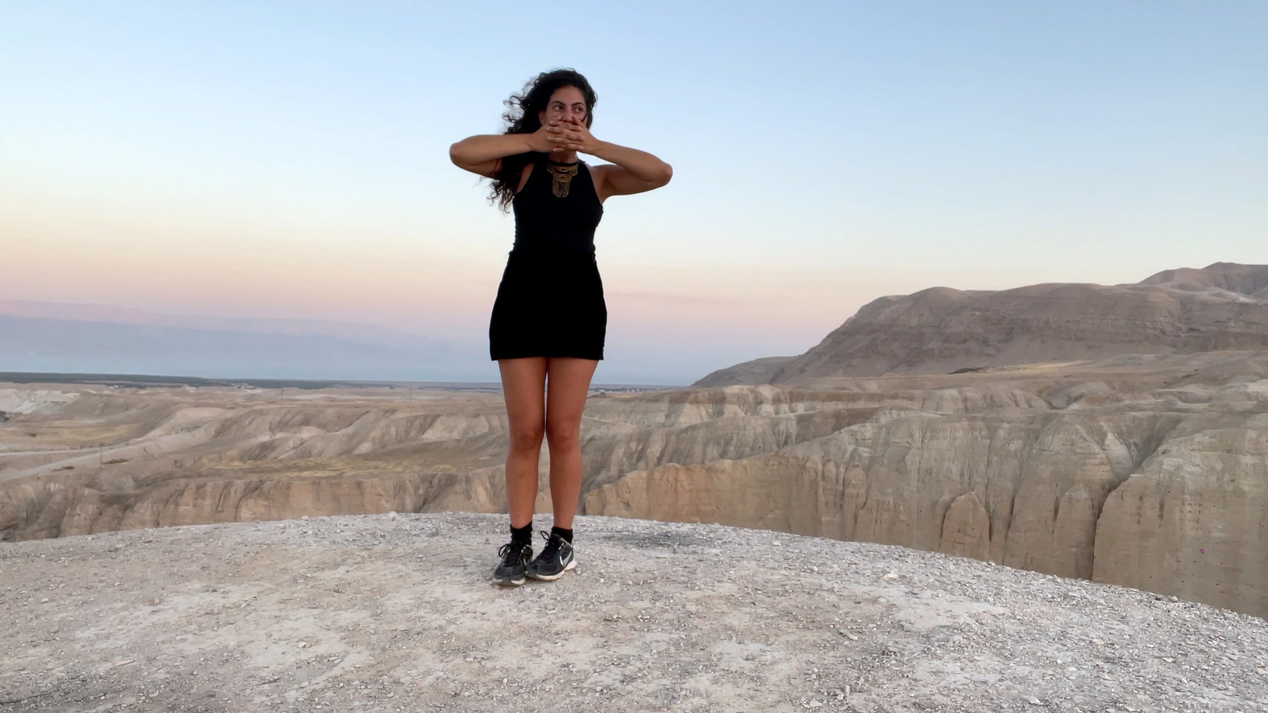 Desert Call