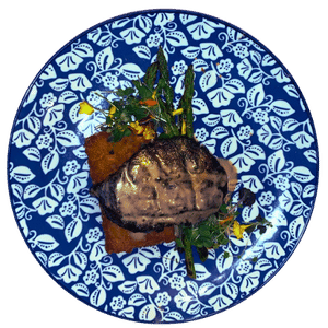 A seared filet topped with herbs and yellow flowers on a blue and white floral plate.