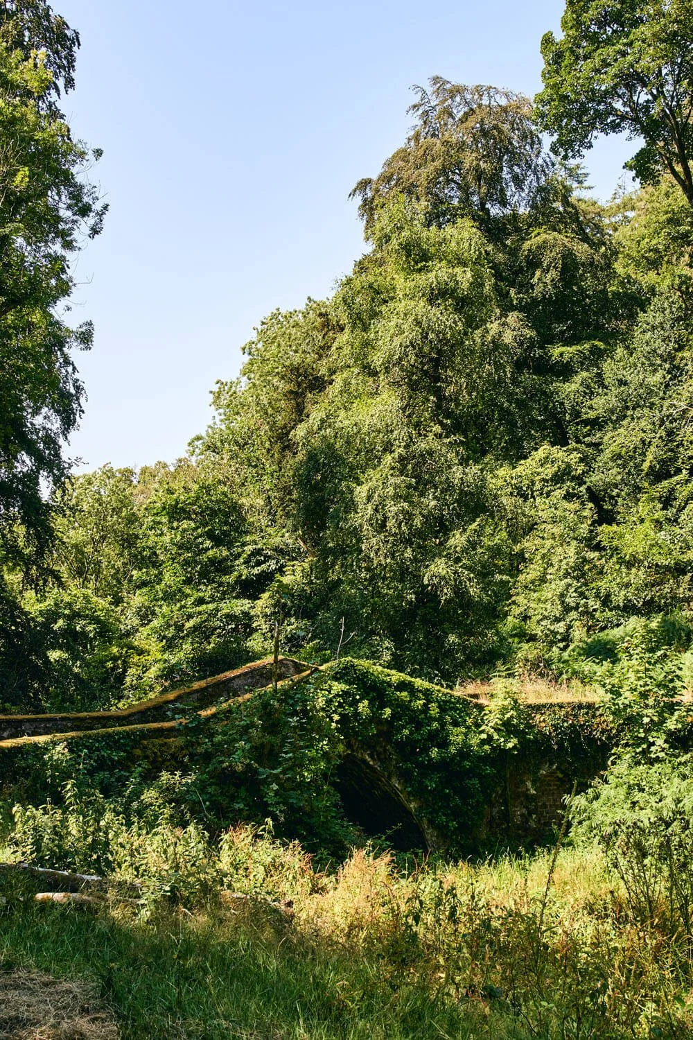 Bridge-Crowcombe-Estate.jpg