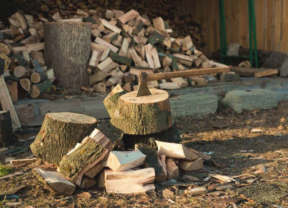 Logs