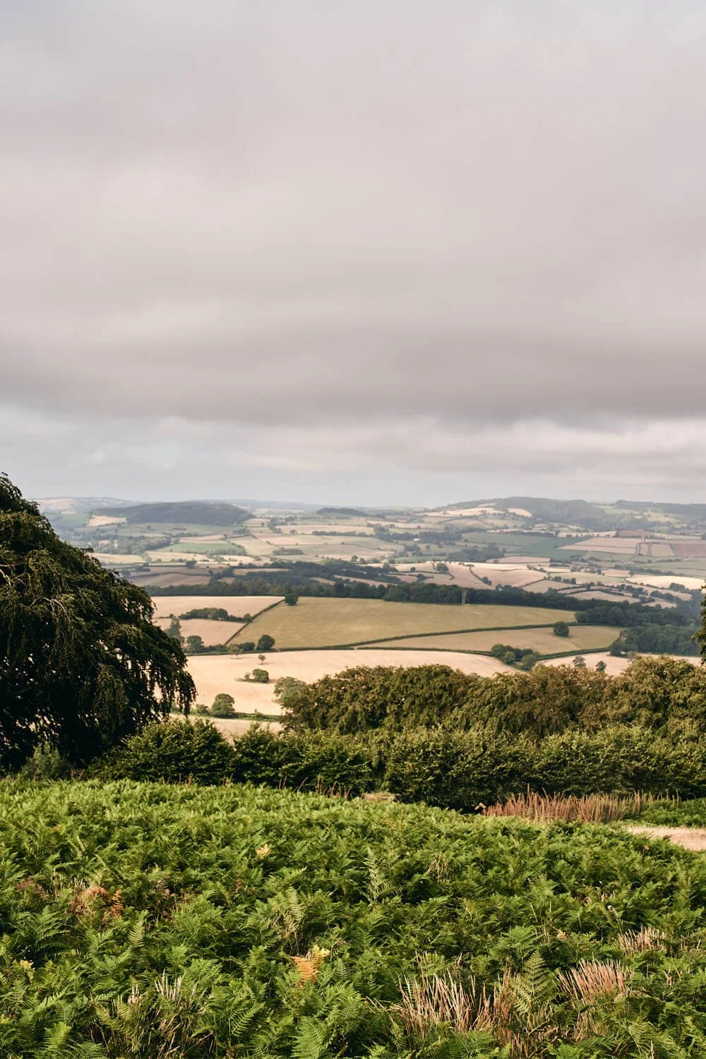 Views-Crowcombe-Estate.jpg