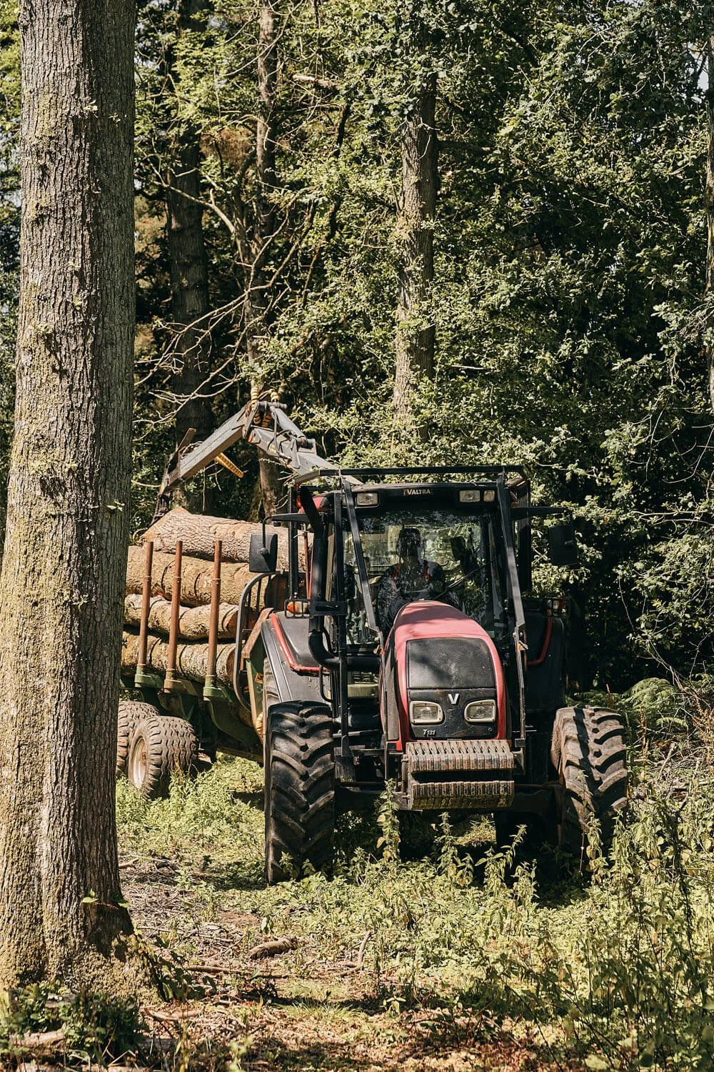 Log-Trailer.jpg