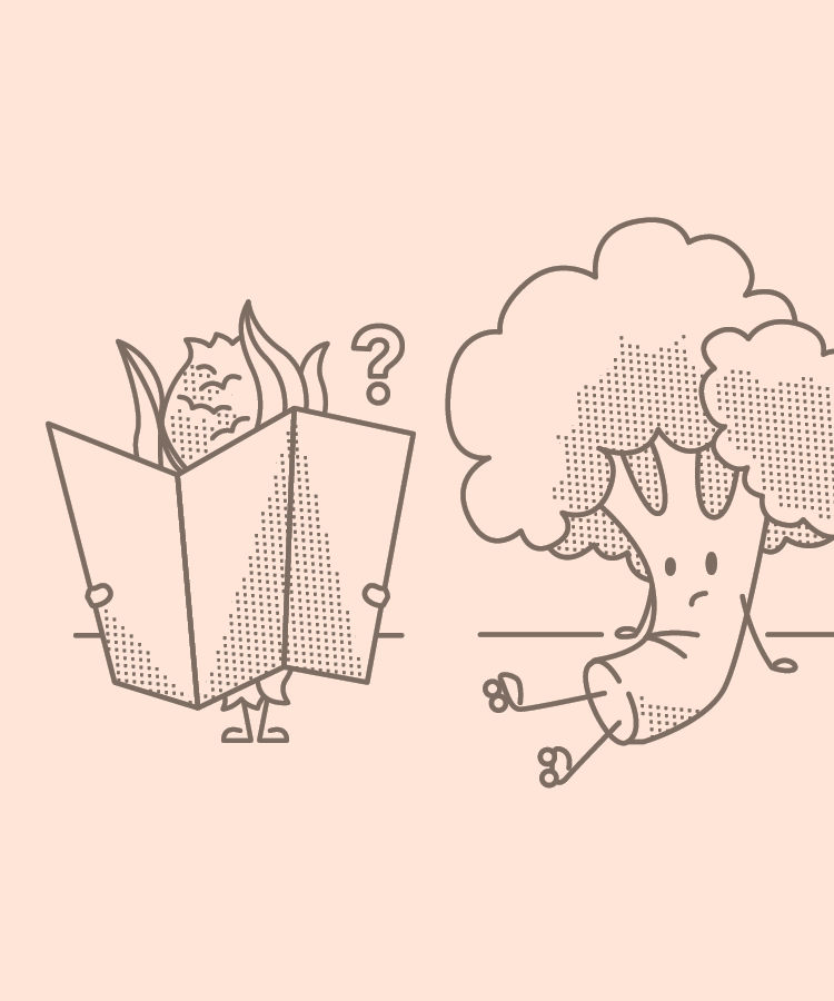 BIBIBOP App Illustrations