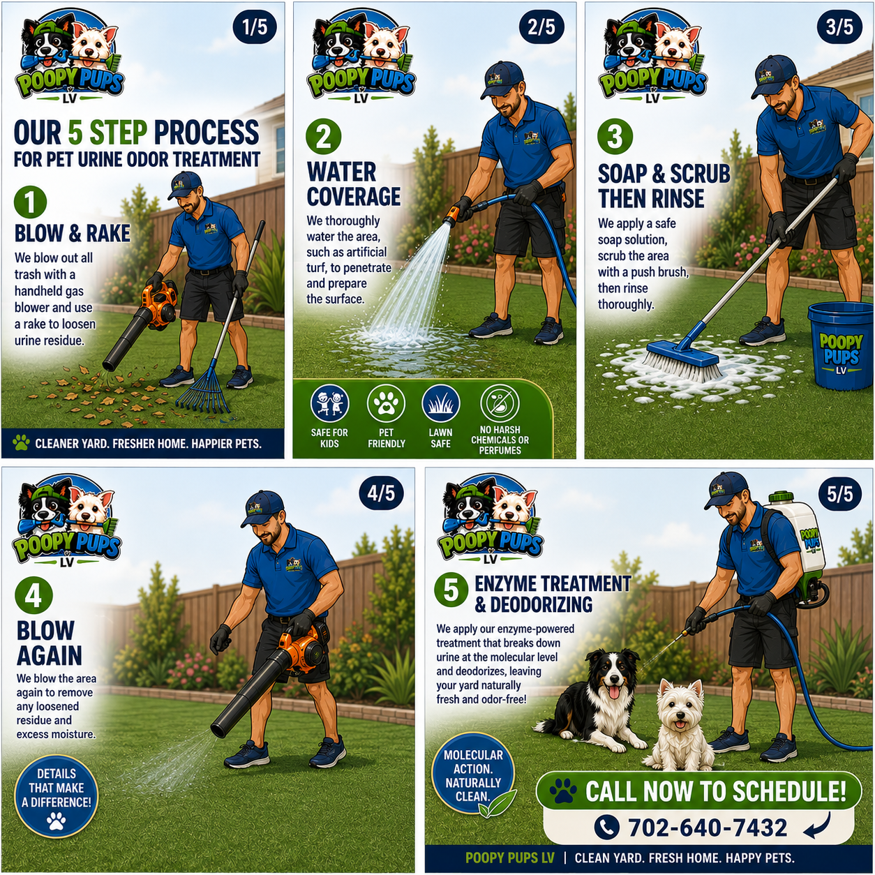 Infographic detailing five steps for pet urine odor treatment involving a man using various tools outdoors on a lawn. Steps include blowing out trash, watering the area, applying soap and scrubbing, blowing again, and applying enzyme treatment. Contact information for scheduling is provided at the bottom.