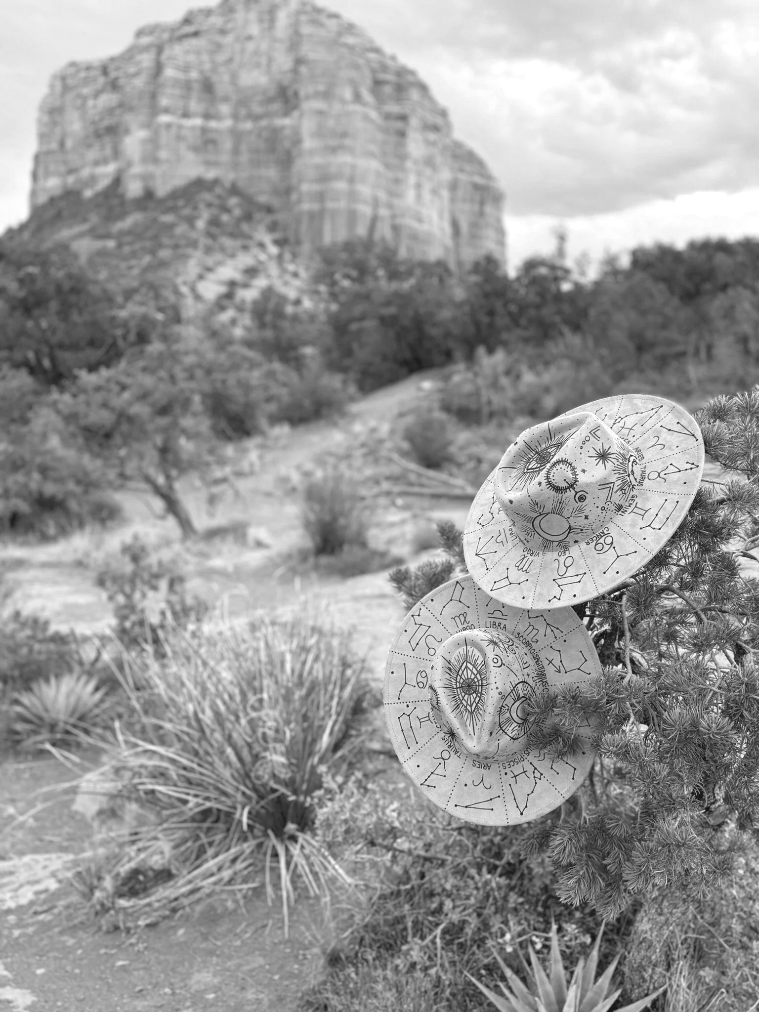 A desert landscape with a large rock formation in the background. In the foreground, there are several circular objects with zodiac signs and astronomical symbols attached to a shrub.