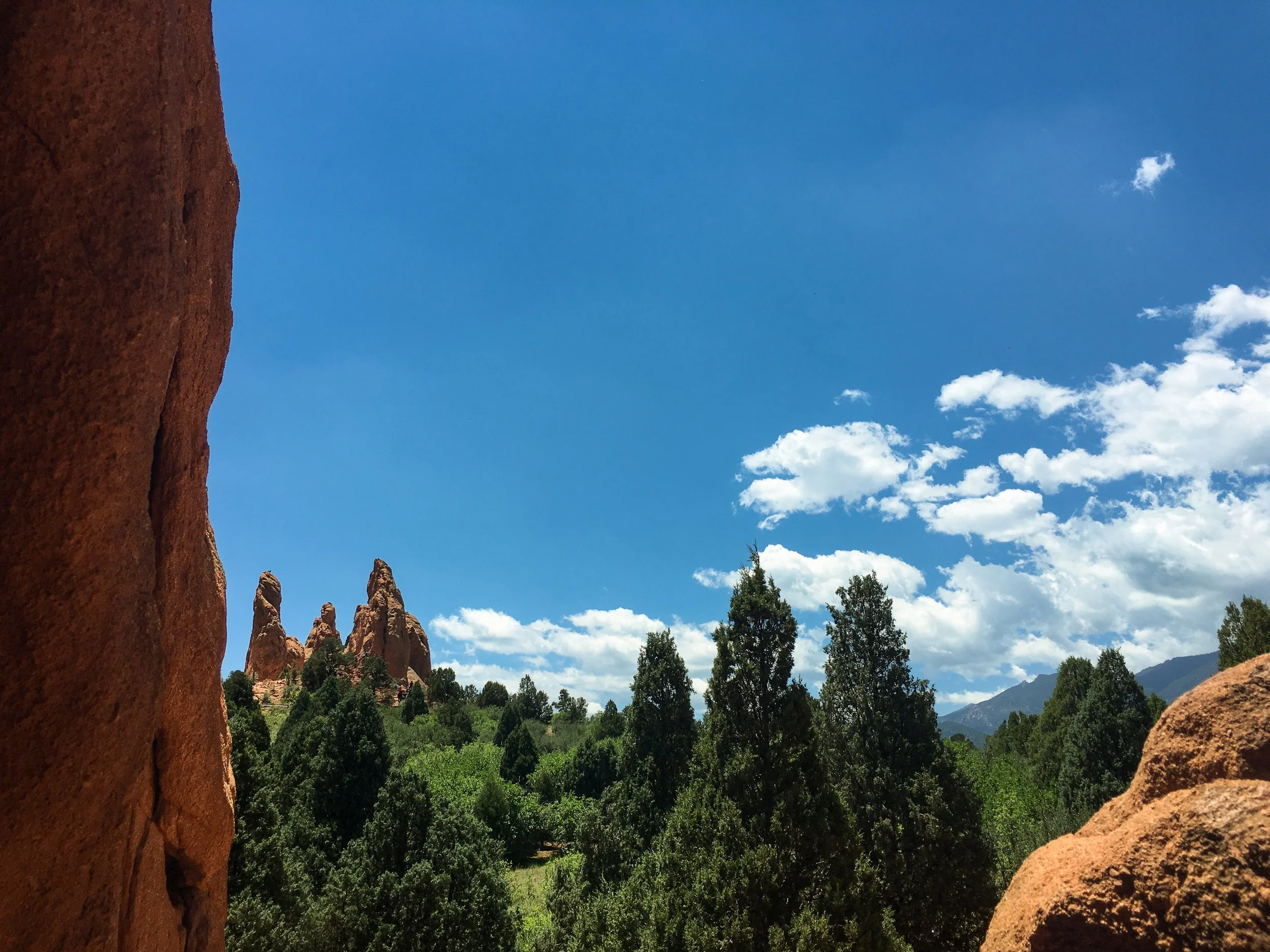 Red rock formations in Garden of the Gods, Colorado, with green evergreens on a summer day