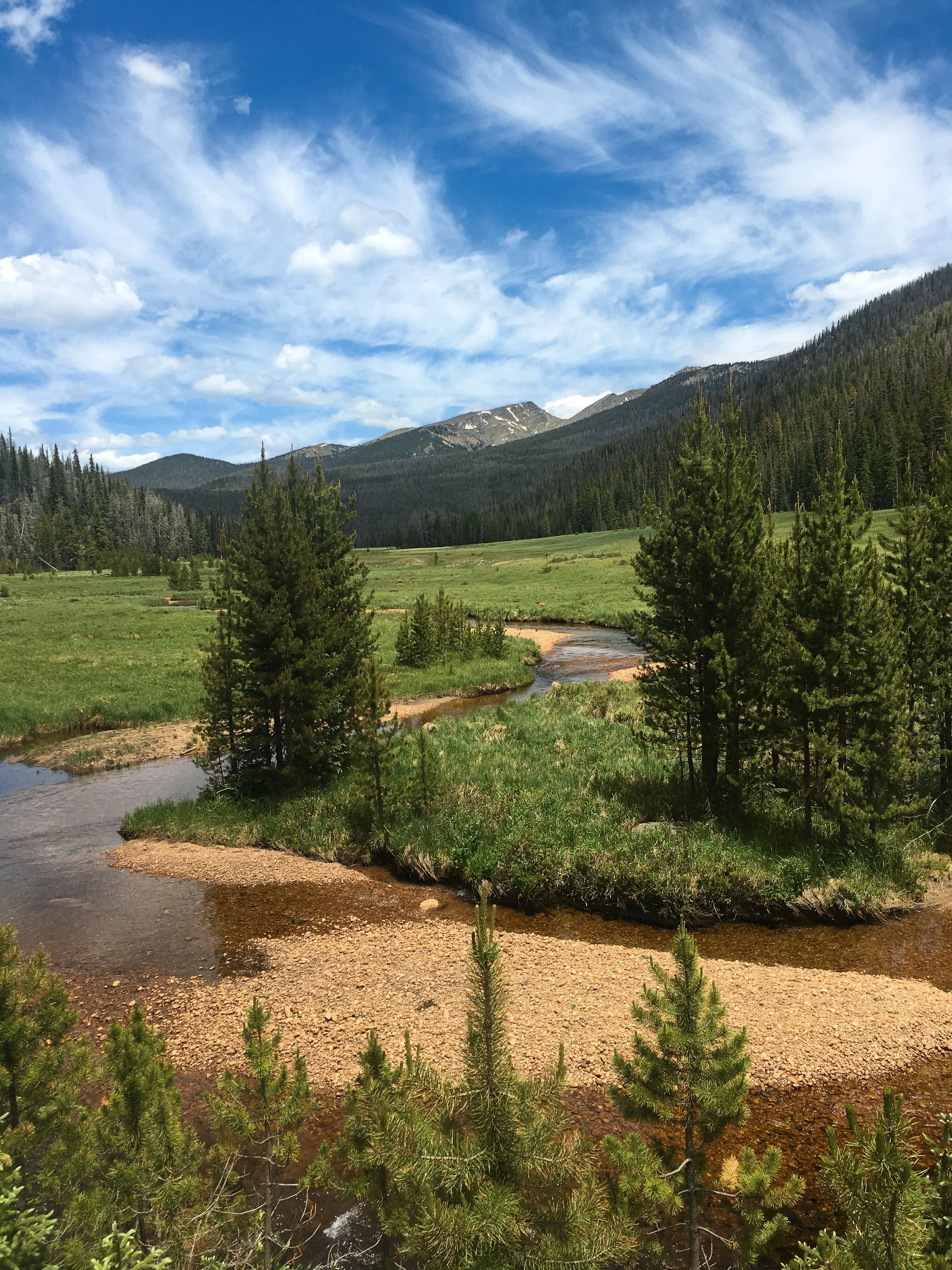 A natural path with water, running through evergreen trees in Rocky Mountain National Park with mountains in the background