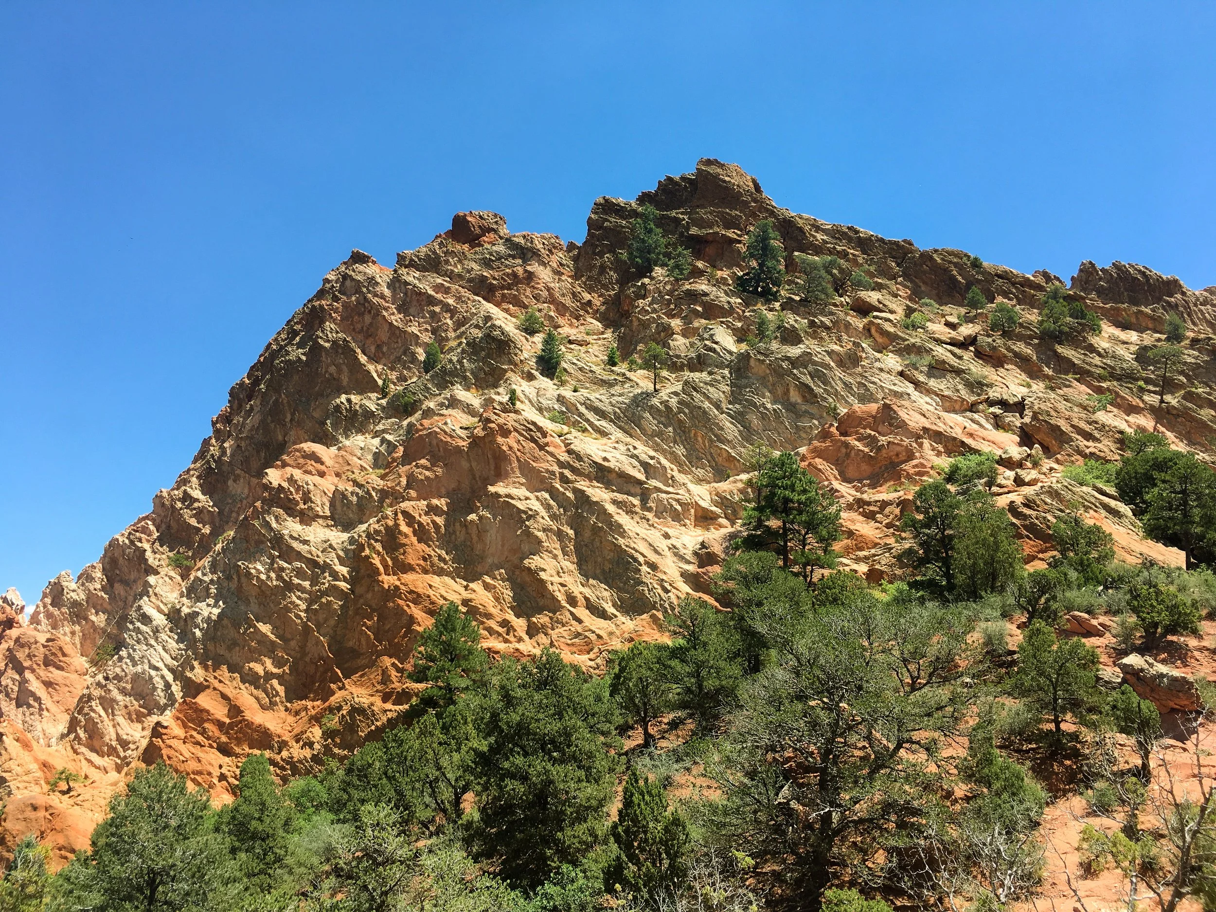 Close-up of a red rock formation in Garden of the Gods, Colorado, with evergreen trees in the foreground