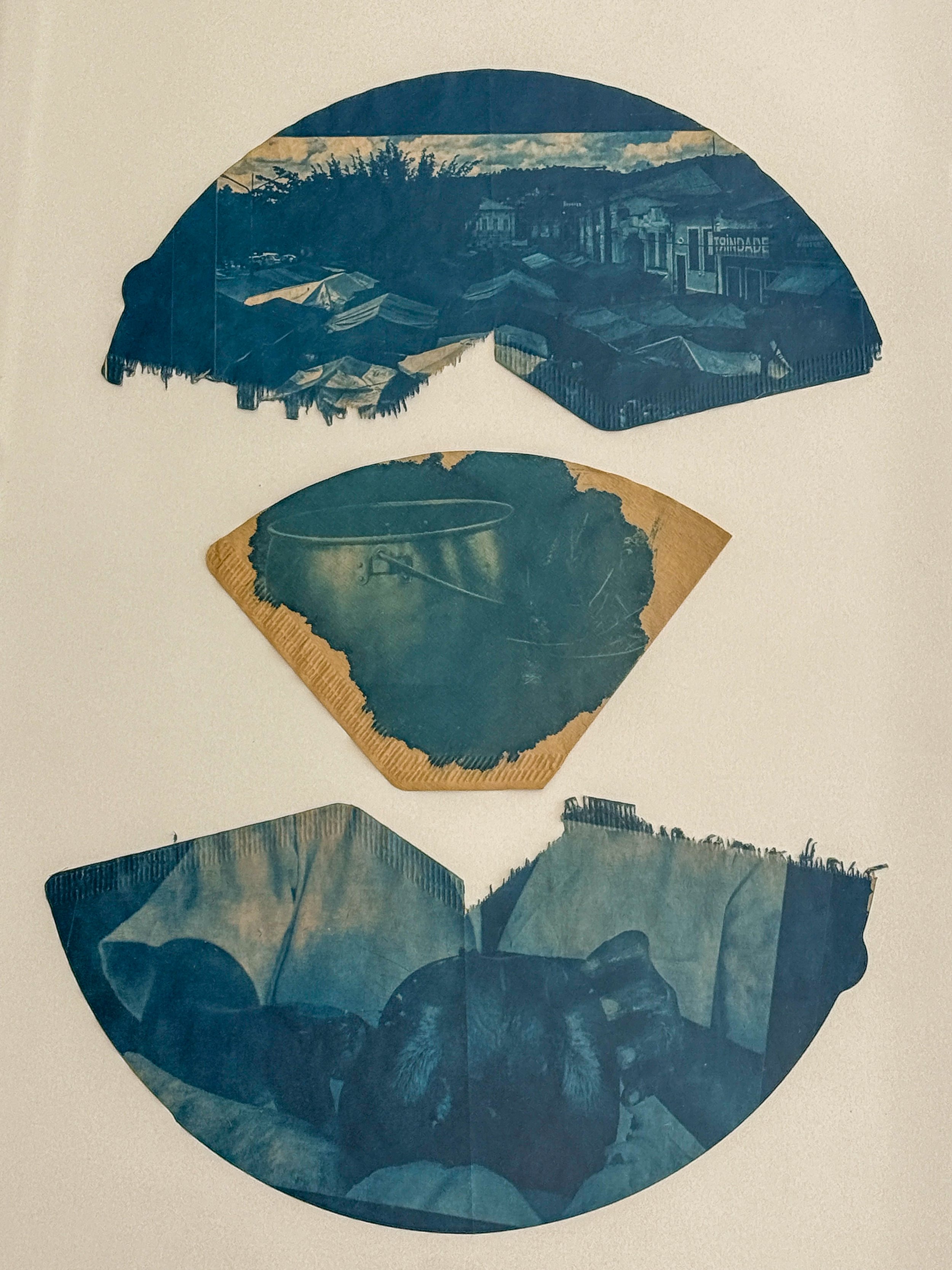 Cyanotype IV, 2026 Cyanotype, coffee, and coffee filter 16 × 20 in.