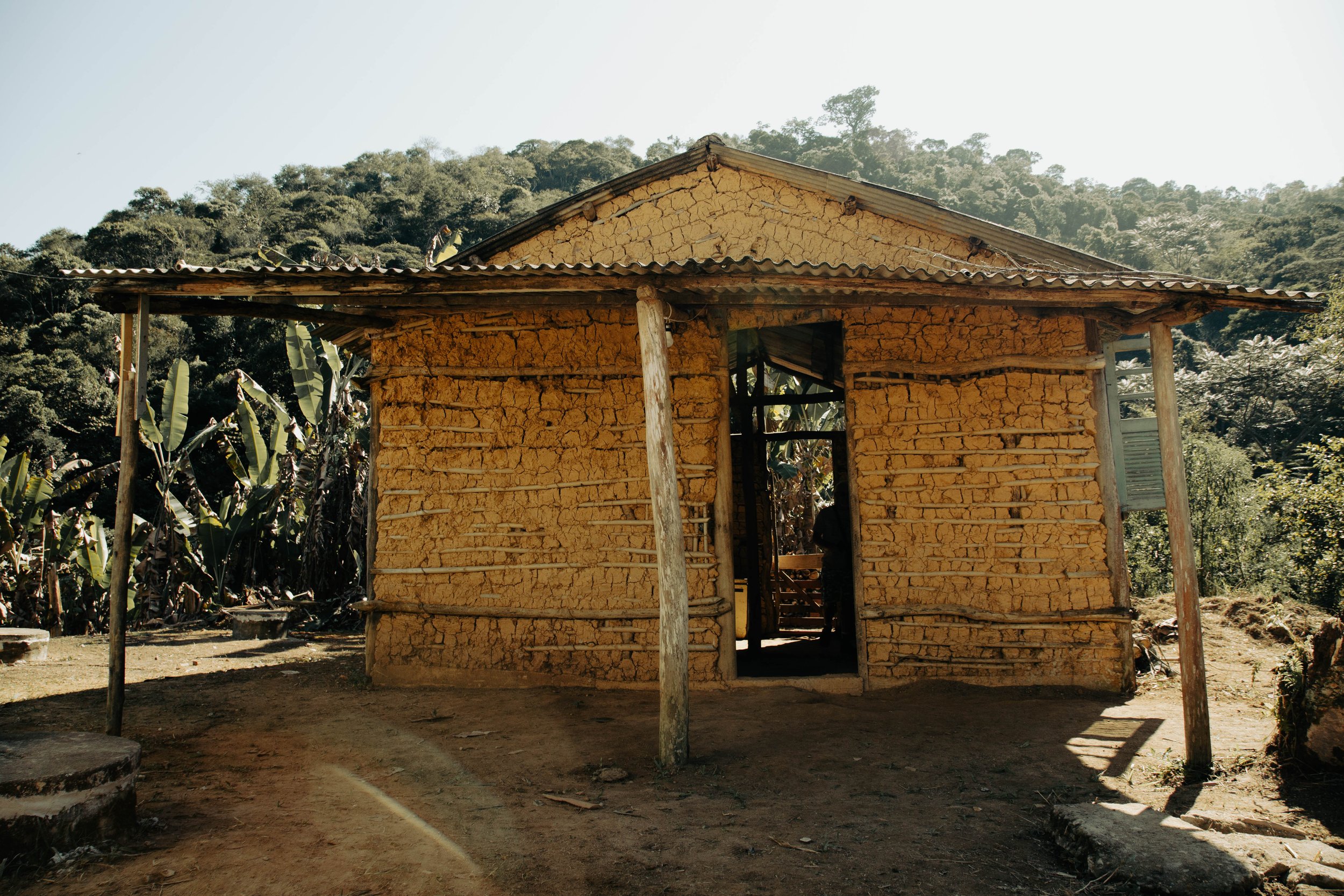 Quilombo I, 2024 Edition of 3 Digital archival print 20 × 30 in.