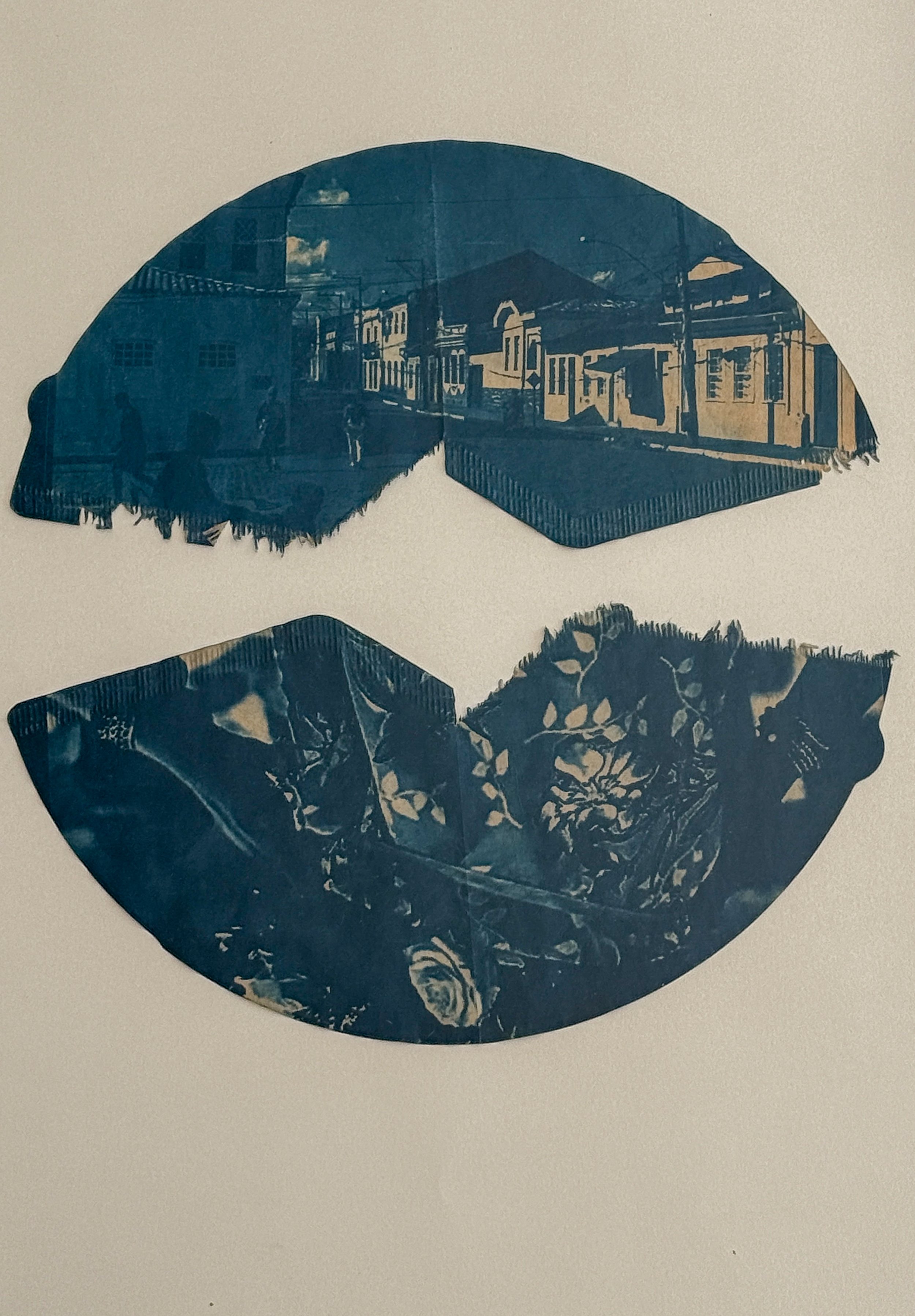 Cyanotype II, 2026 Cyanotype, coffee, and coffee filter 16 × 20 in.