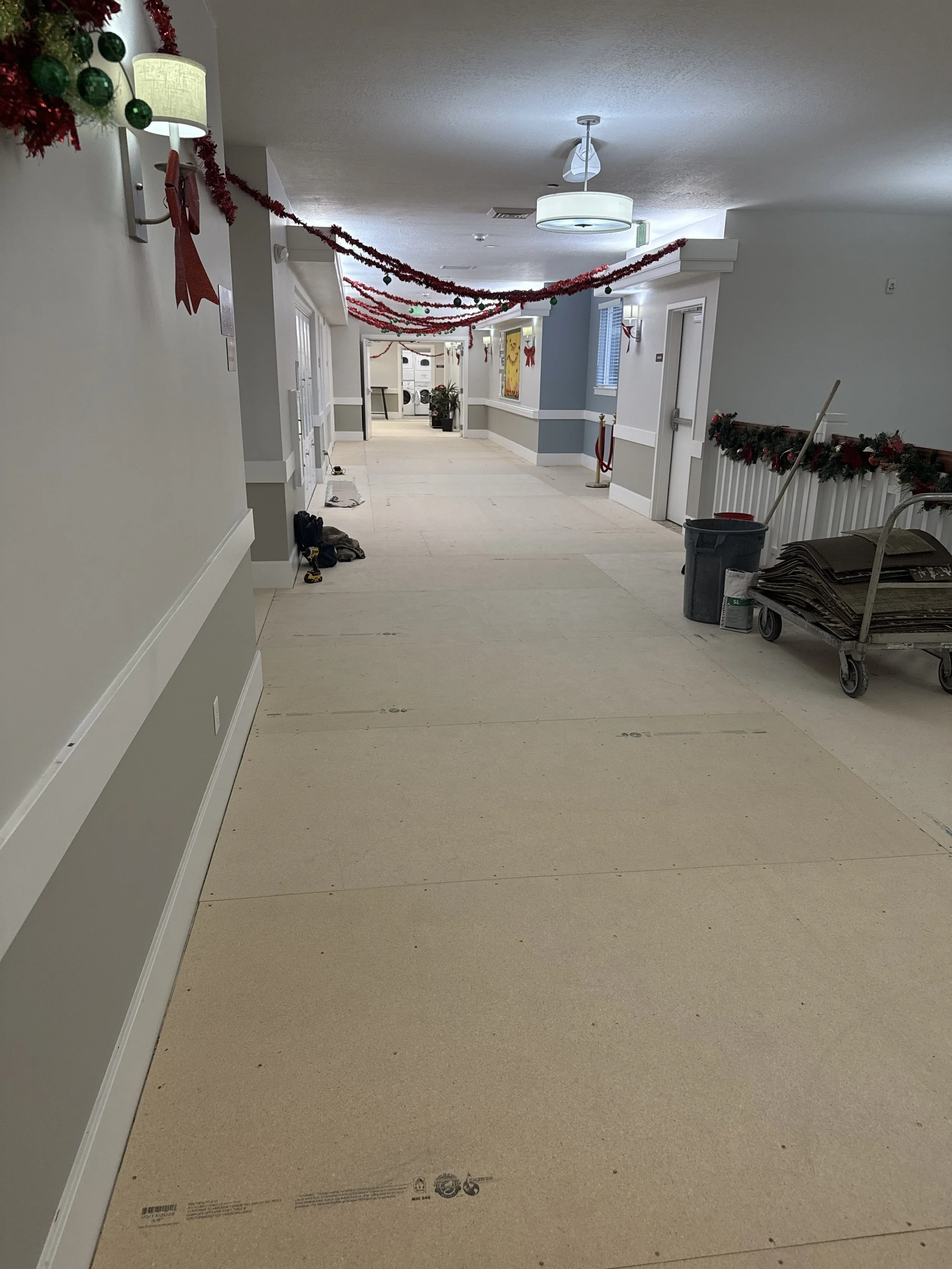 Subfloor renewal, Spring Gardens Heber