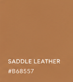 Saddle.png