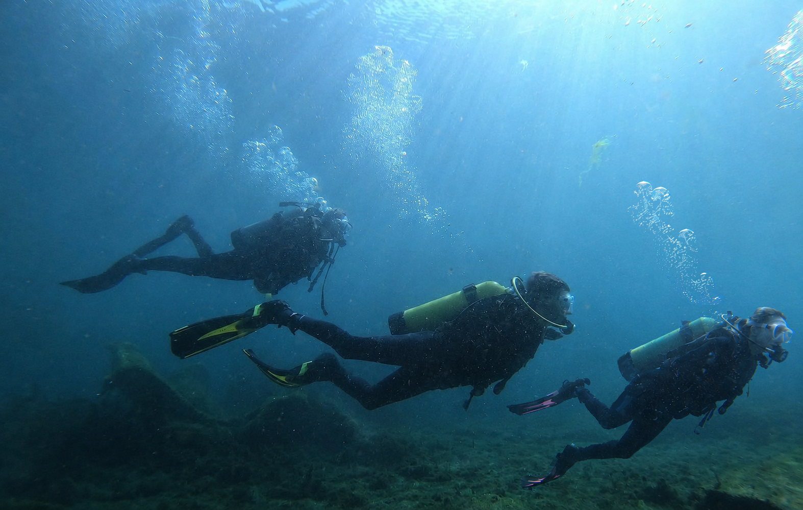 The Light Beneath the Waves