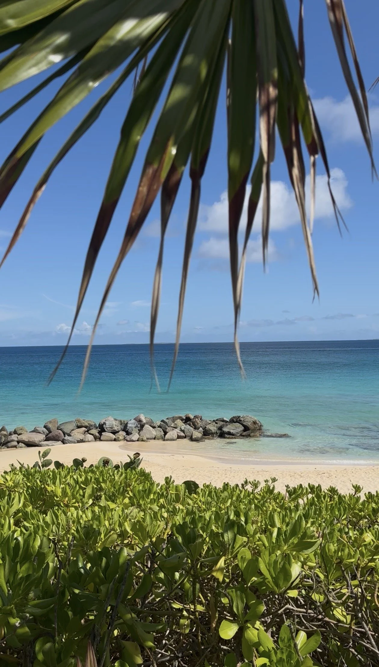 A tropical beach with green shrubs and a rock-lined shoreline in the foreground, a sandy beach, and calm blue ocean waters under a partly cloudy sky, viewed through a palm tree.