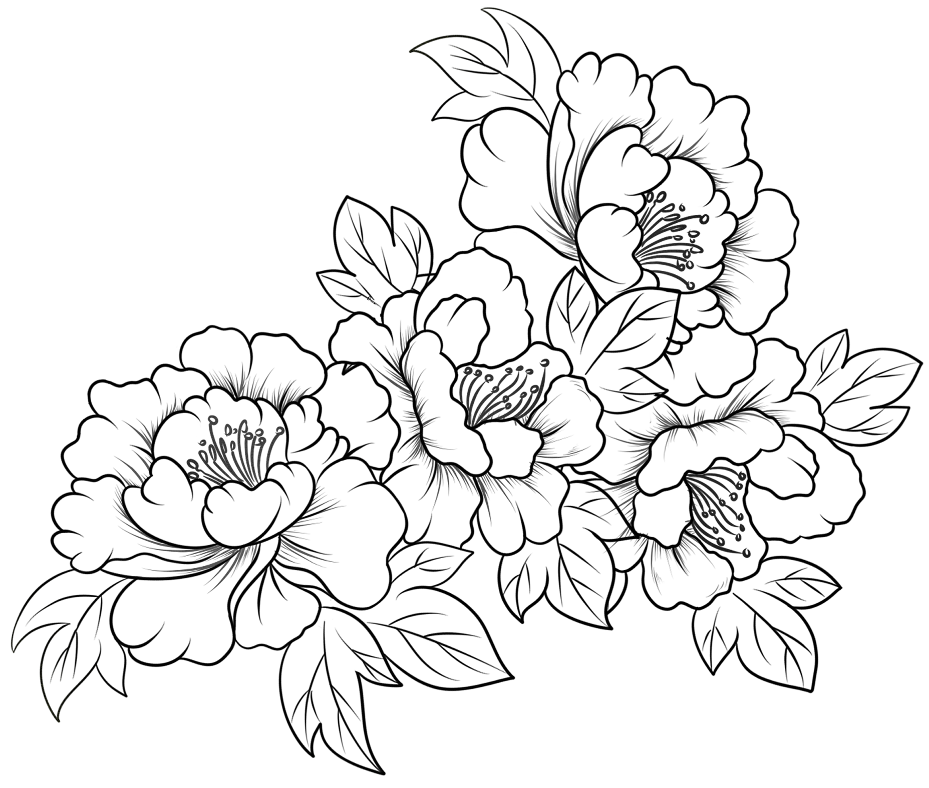 Black background with white line drawings of various flowers and leaves arranged in a pattern.