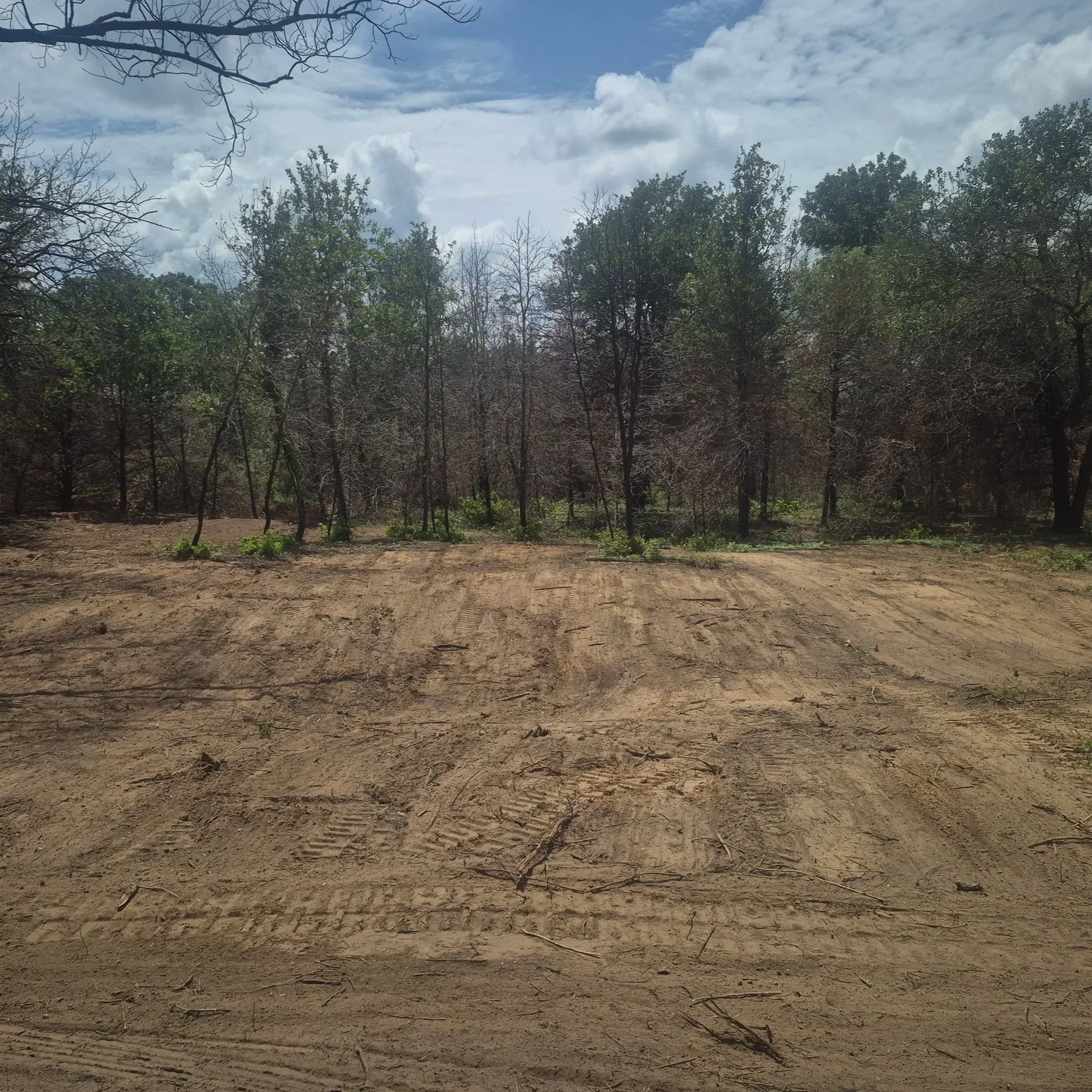 Cedar removal in Asher Oklahoma