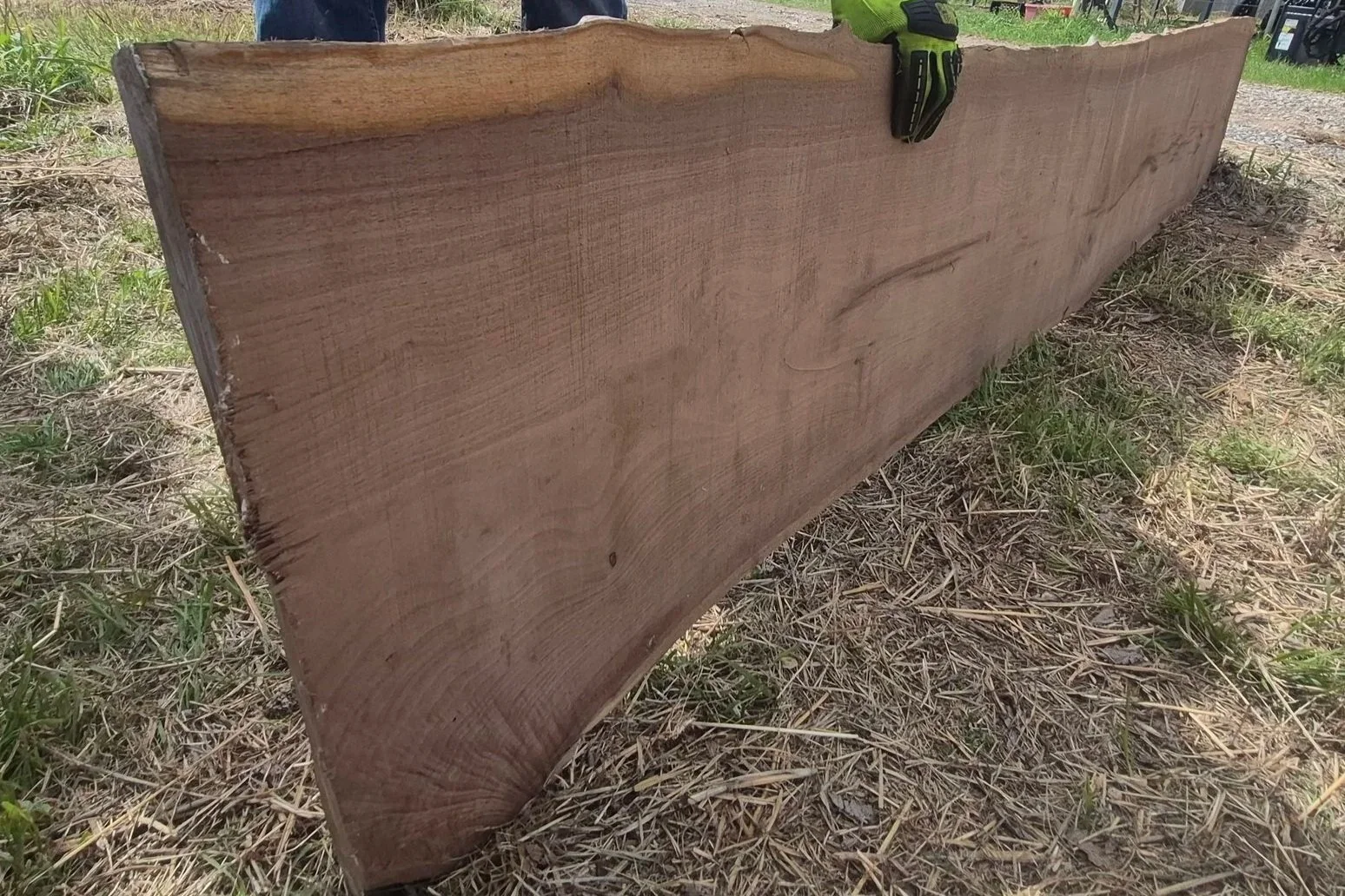A large piece of wood being held by a person wearing gloves outside on grassy ground.