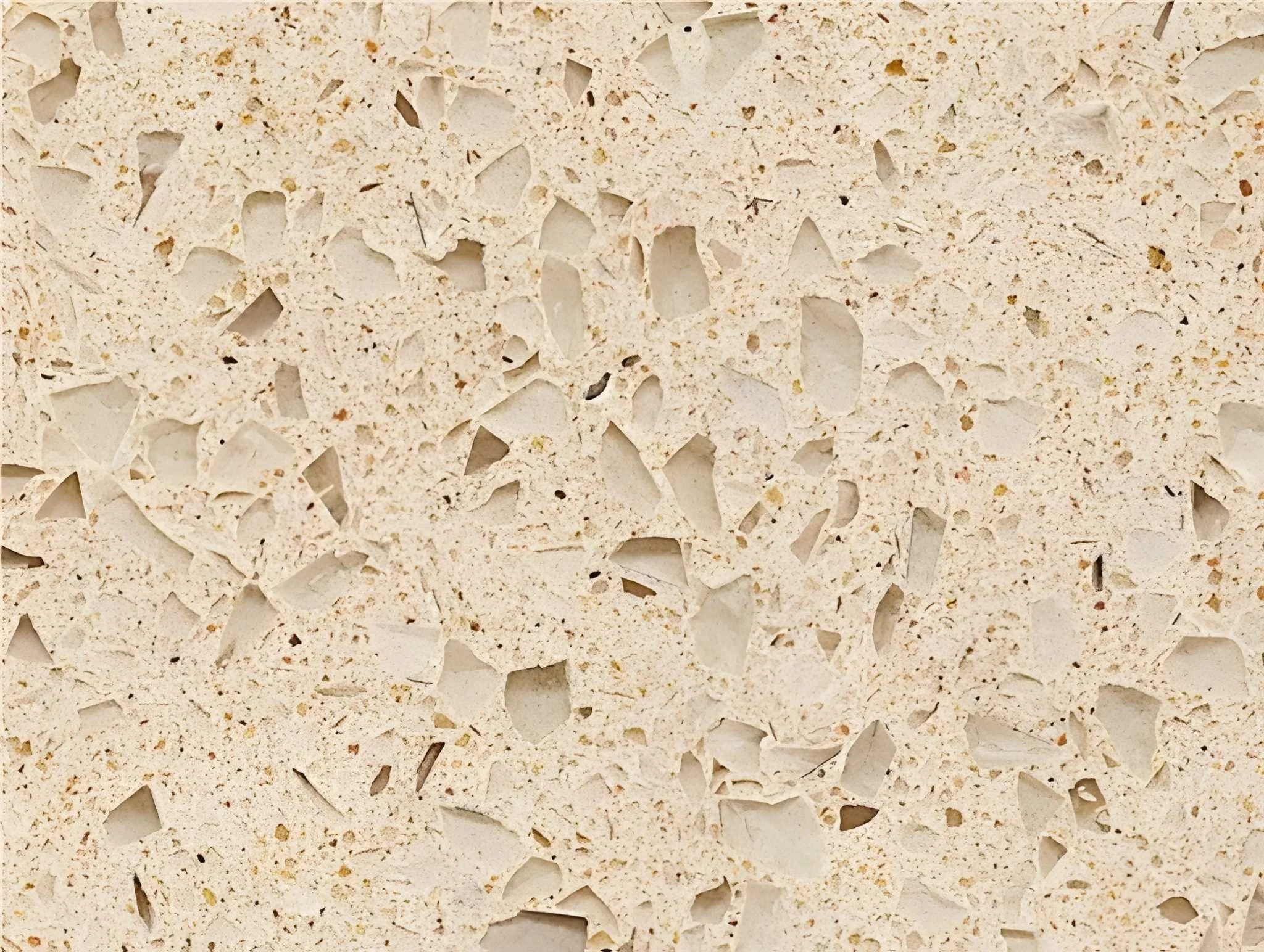resin polyester