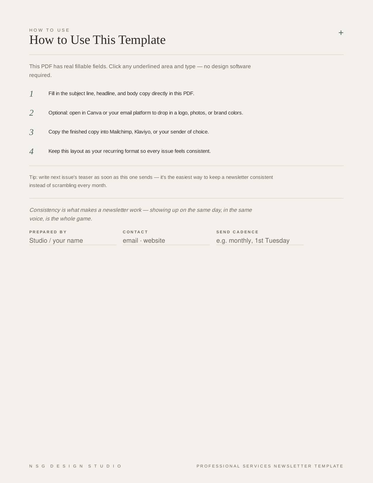 Professional_Services_Email_Newsletter_Template_p03.png