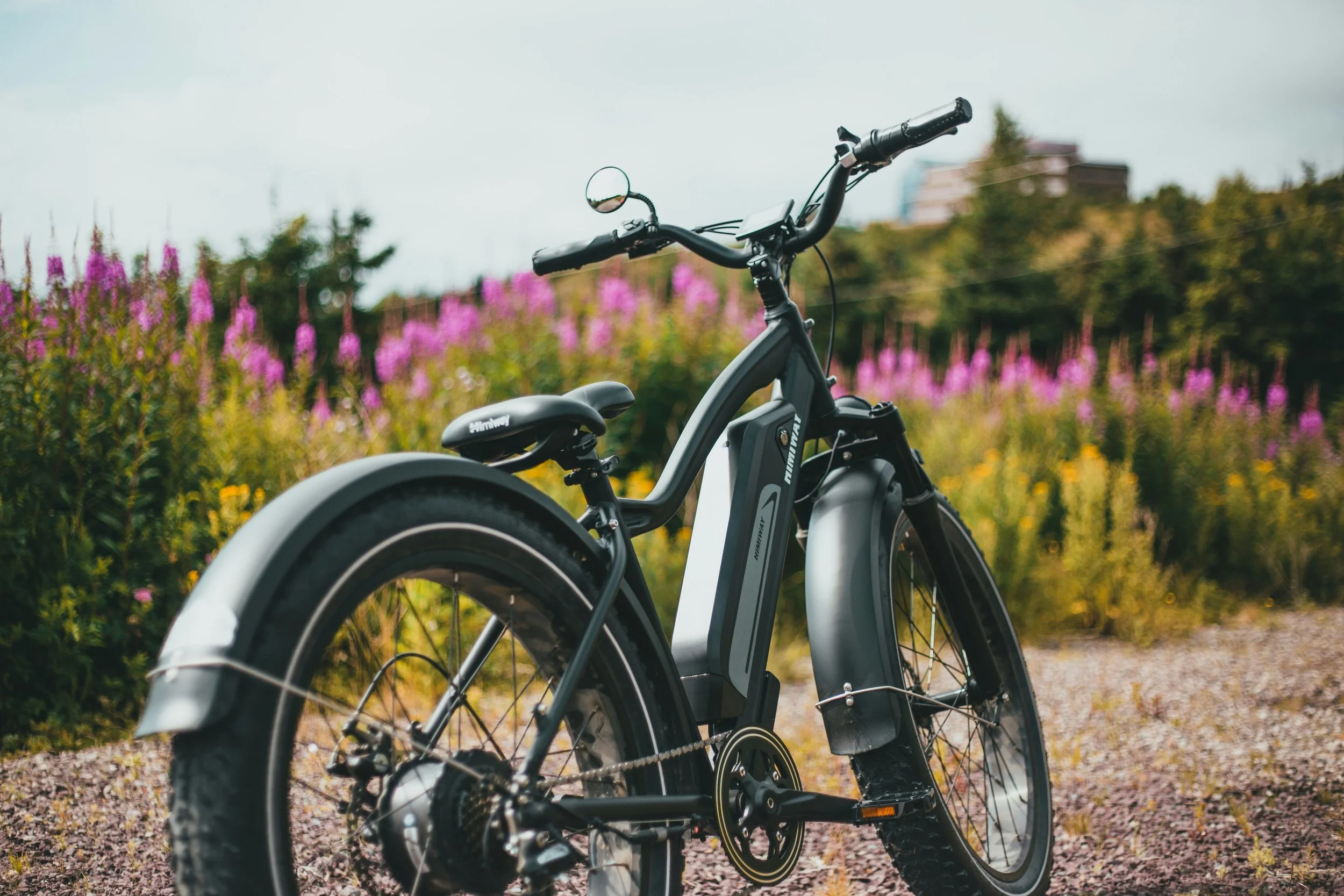 E-Bike Tour