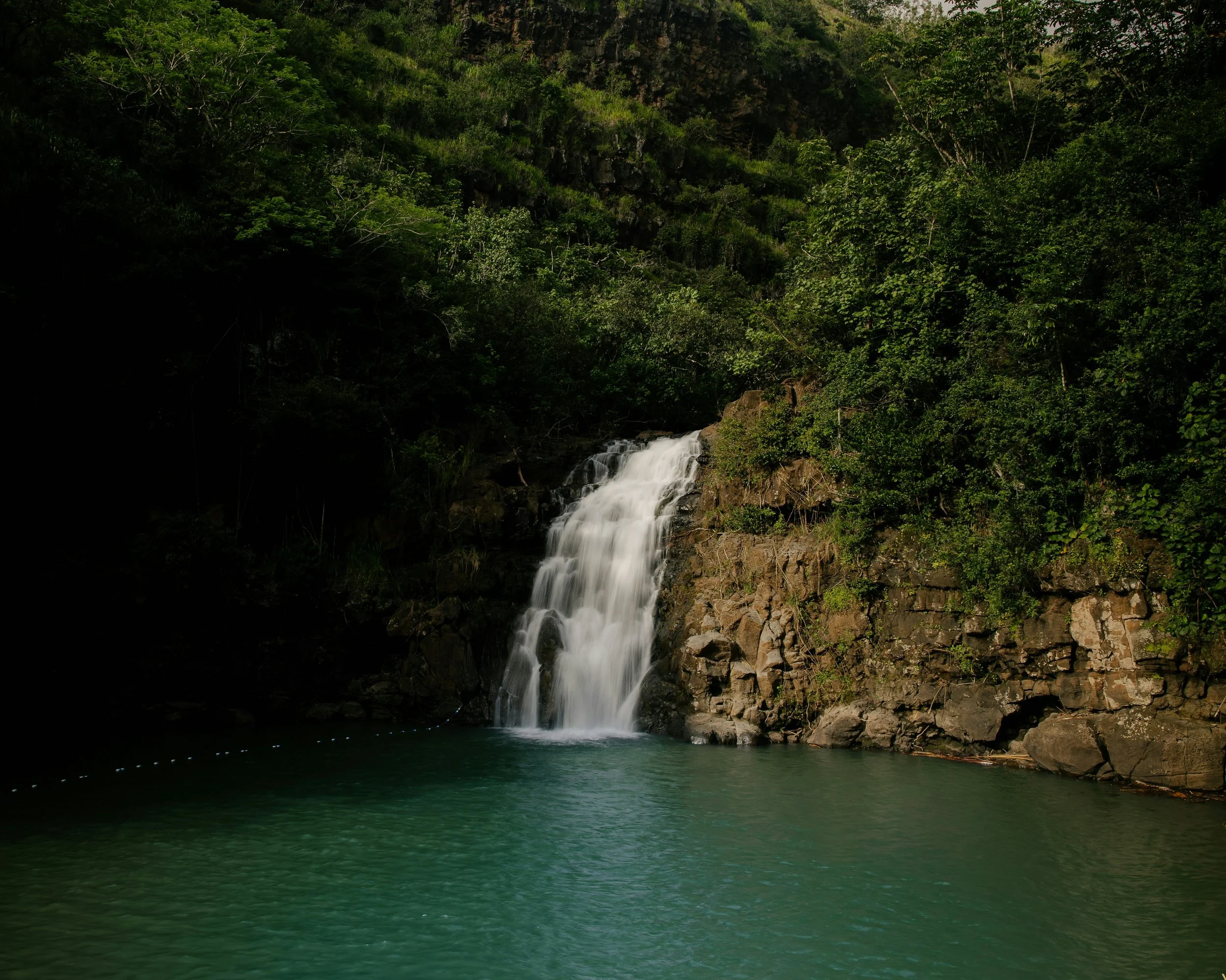 Botanical Gardens Walk &amp; Waterfall Swim