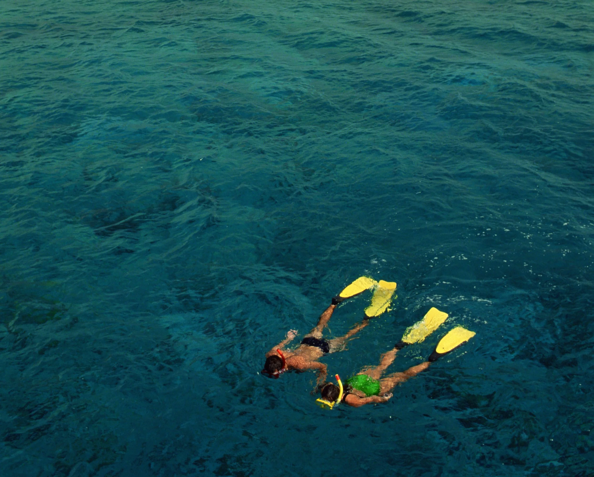 Waimei Bay Snorkel Tour