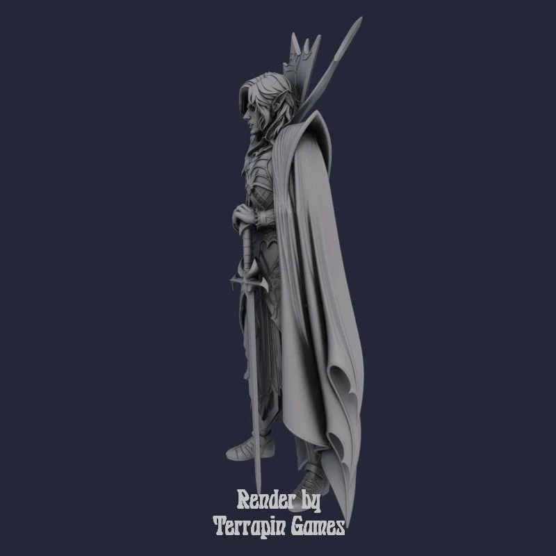 SIR_DARIUS_SWORDSMAN_2.jpg