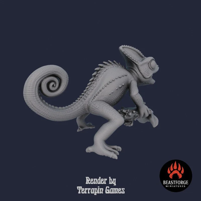 CHAMELEON_SCOUT_2_4.jpg
