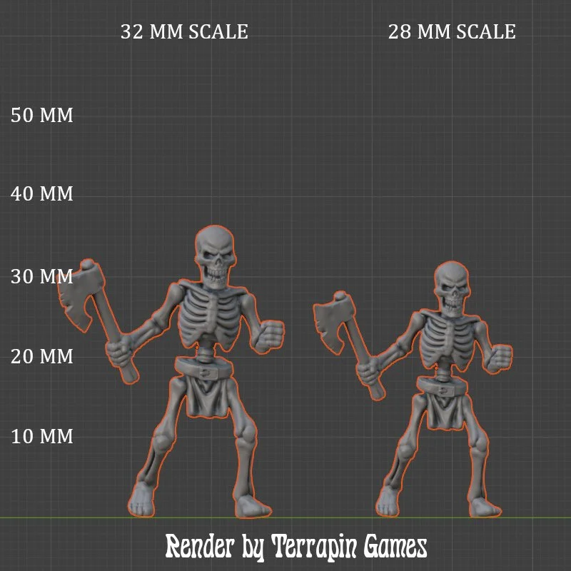 SKELETON_4_SCALE.JPG