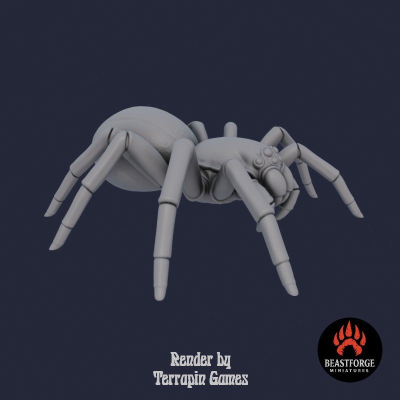 GIANT_SPIDER_1_2.jpg