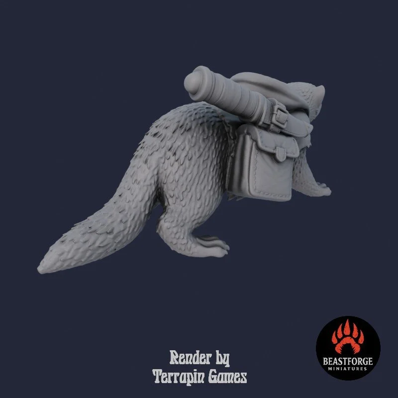 ROGUE_FERRET_1_4.jpg