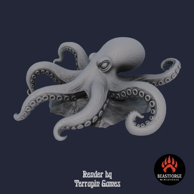 OCTOPUS_2_2.jpg