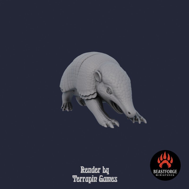 ARMADILLO_2_2.jpg