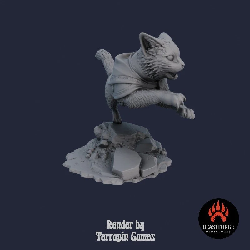 ARCANE_CAT_2_2.jpg
