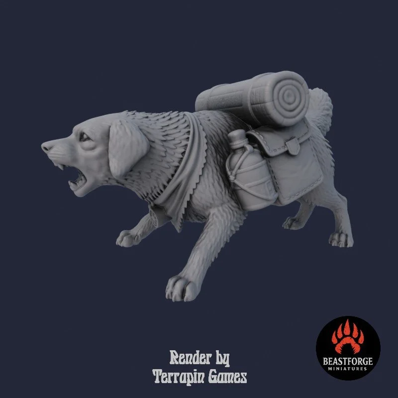 Mystic Companions - Traveler Dog 2